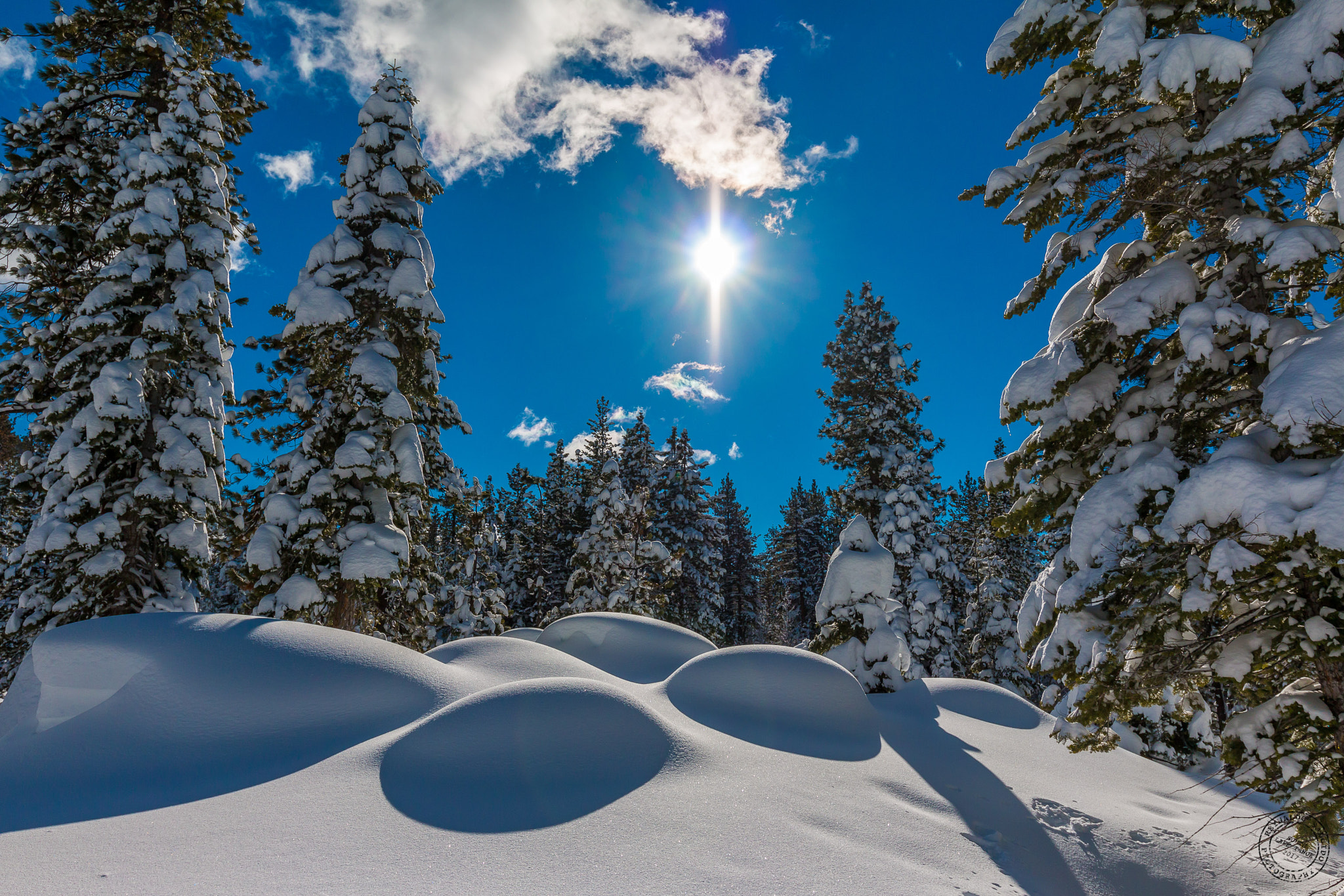 Canon EF 16-35mm F4L IS USM sample photo. Van sickle trail photography