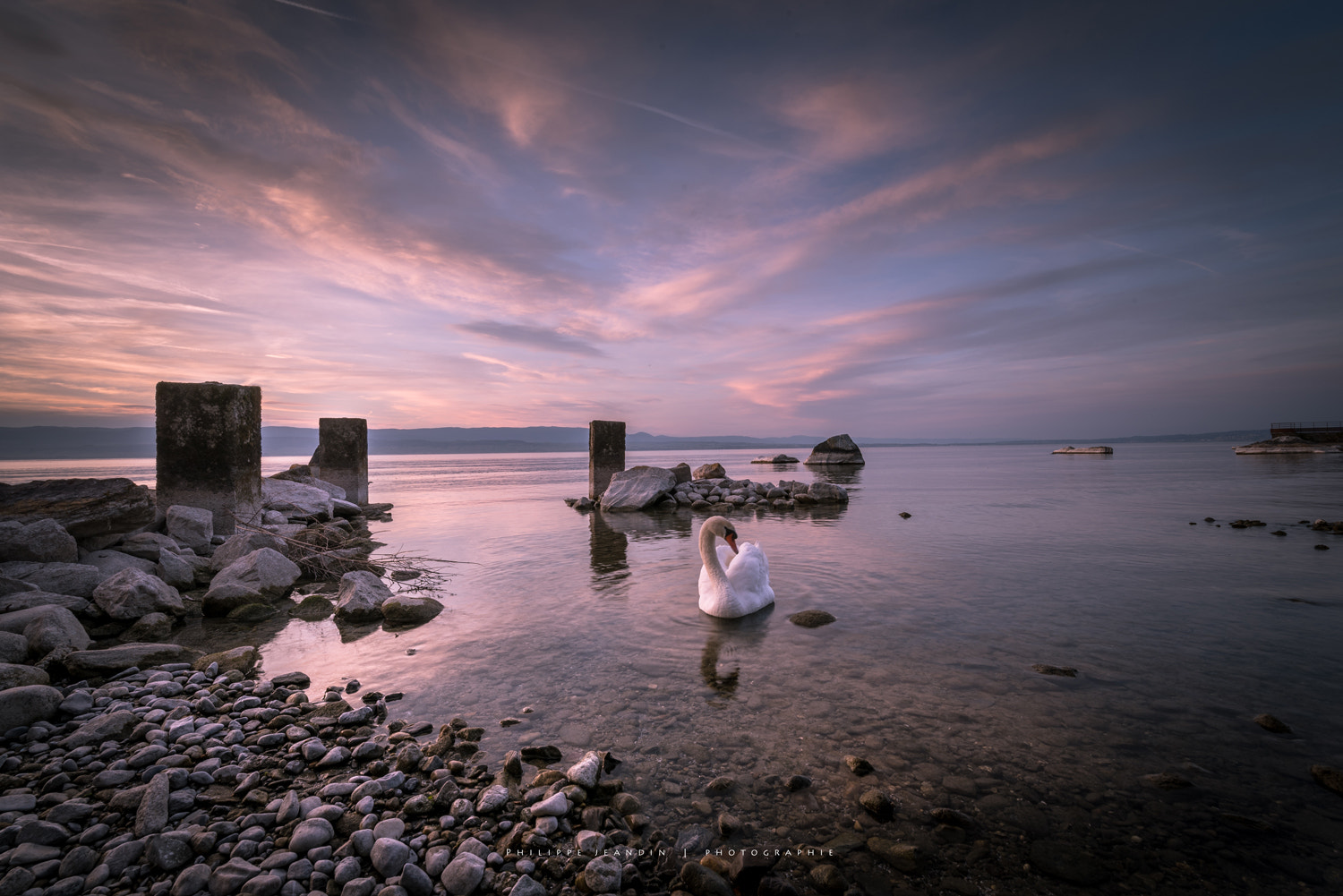 Nikon D750 sample photo. Le cygne d'une bonne soirée photography