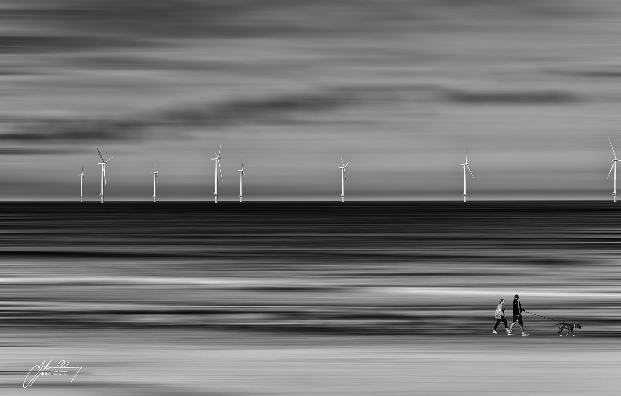 Nikon D800 sample photo. The walk with the wind photography