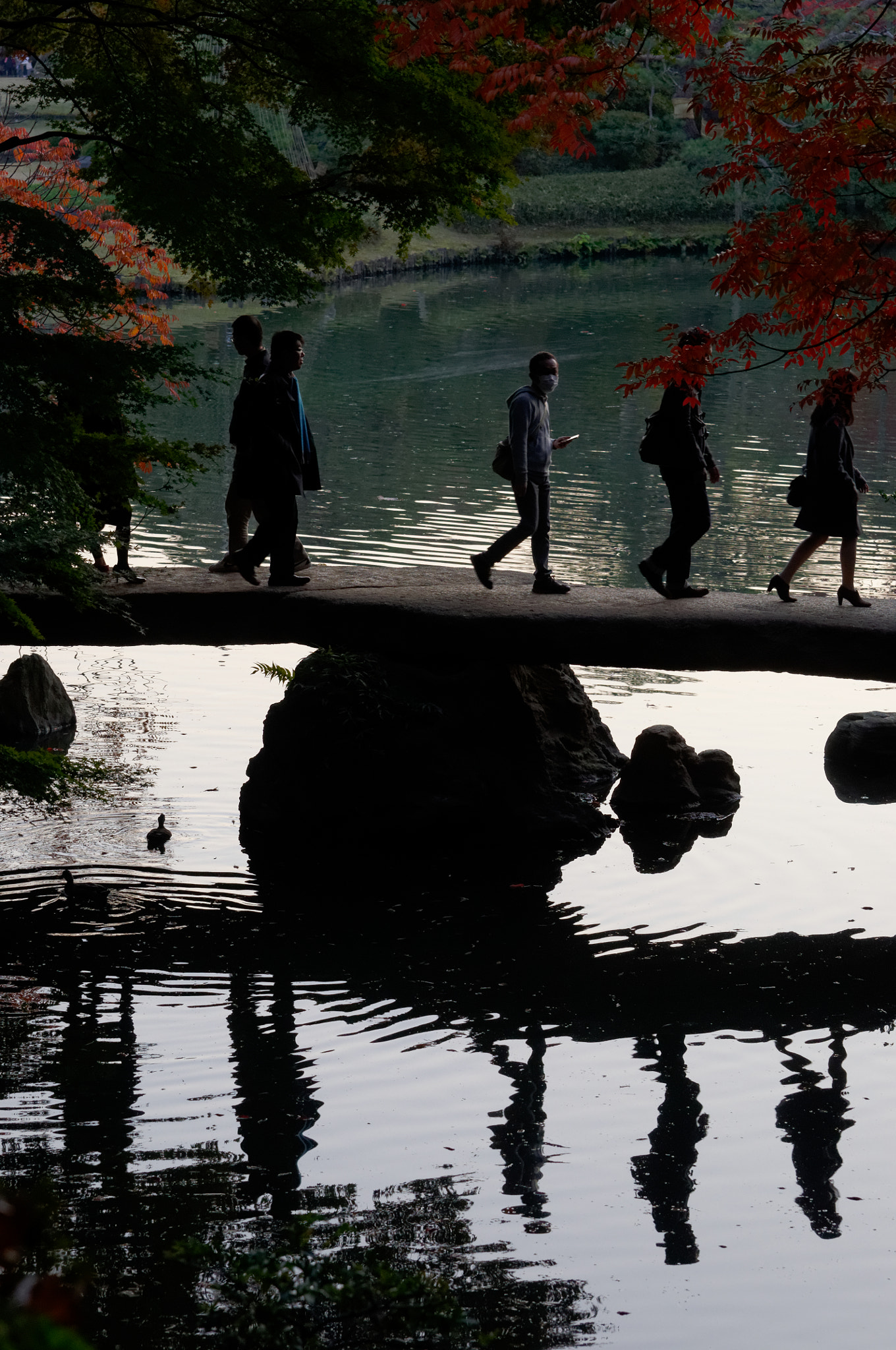 Nikon D90 sample photo