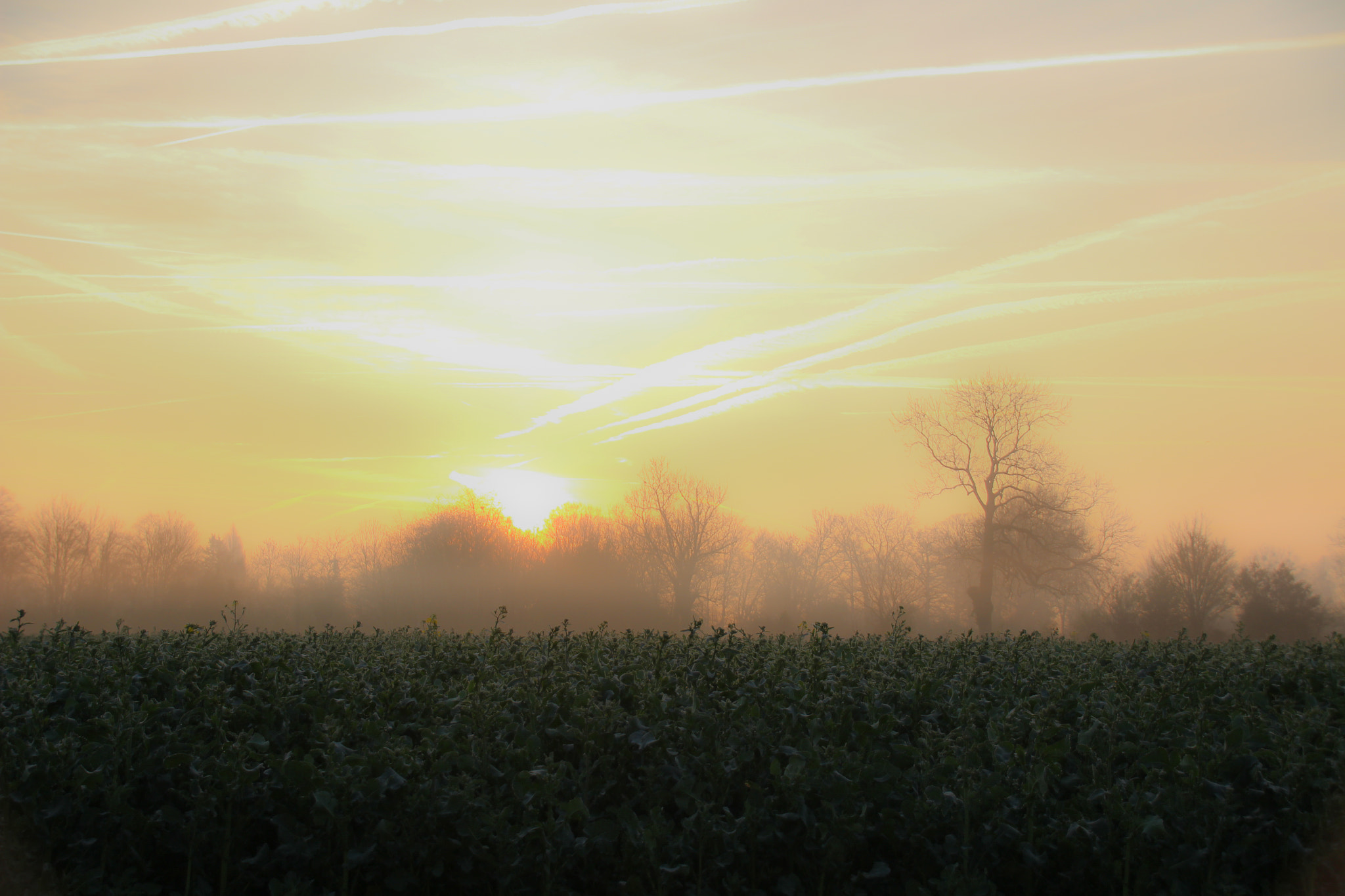 Canon EOS 100D (EOS Rebel SL1 / EOS Kiss X7) sample photo. Sunrise in the fog photography