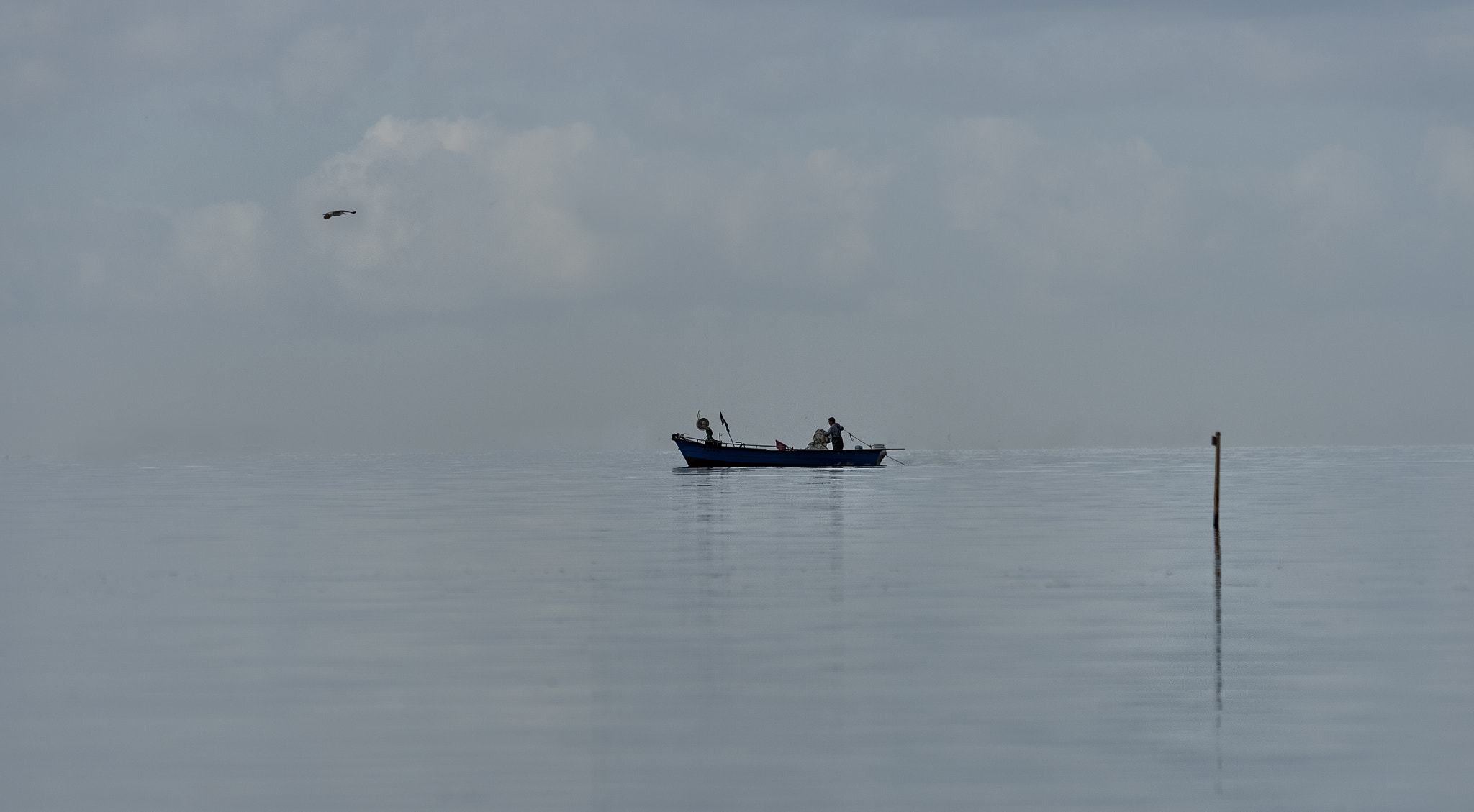Nikon D4 sample photo. Marine photography