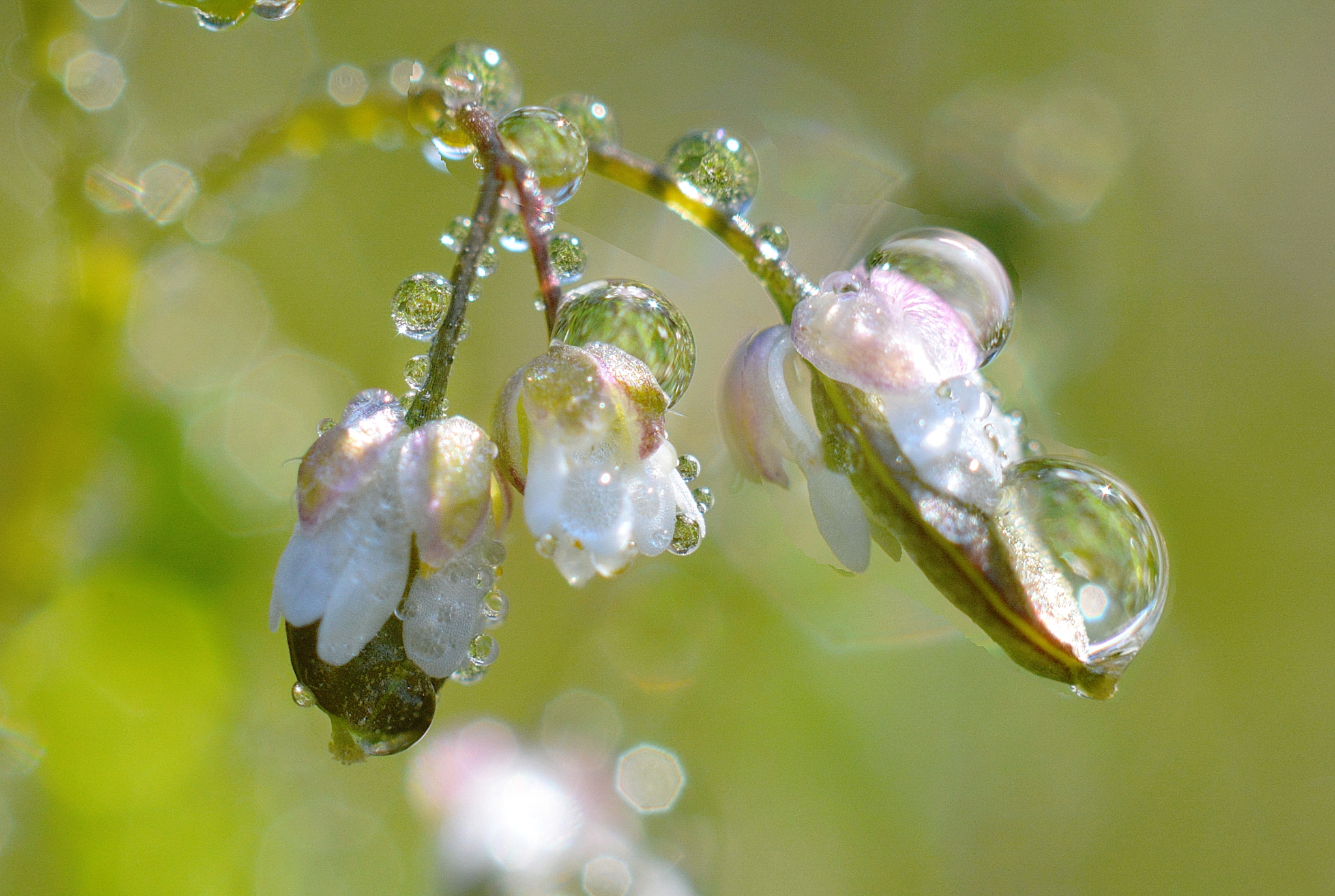 Nikon D7100 + Nikon AF-S Nikkor 50mm F1.8G sample photo. Отражение реальности photography