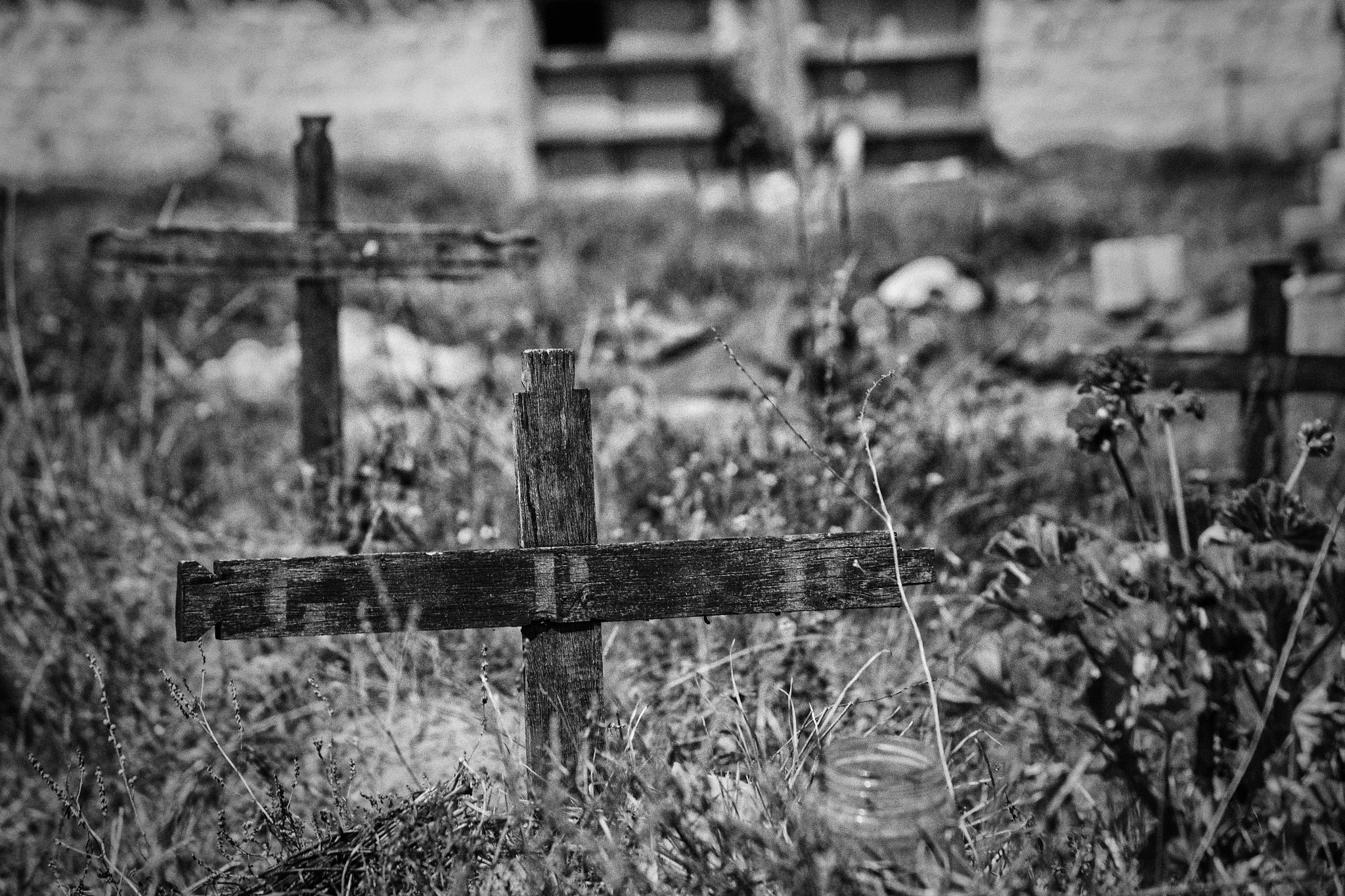 Canon EF 28-135mm F3.5-5.6 IS USM sample photo. Land of the dead photography