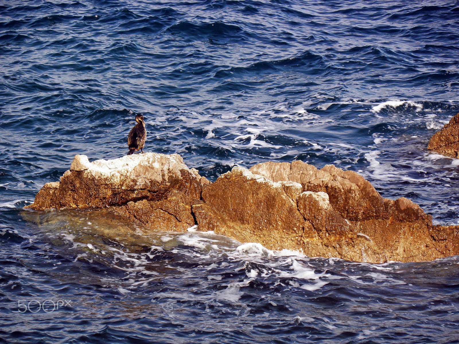 Olympus SP590UZ sample photo. Adriatic coast between opatija and lovran,croatia,4 photography