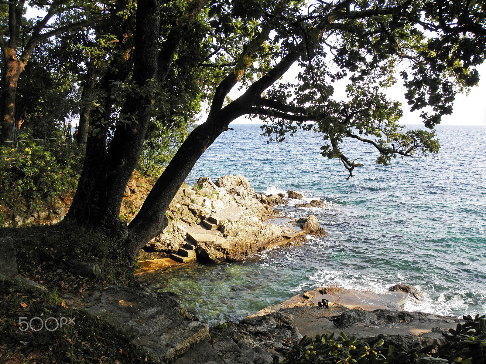 Olympus SP590UZ sample photo. Adriatic coast between opatija and lovran,croatia,9 photography