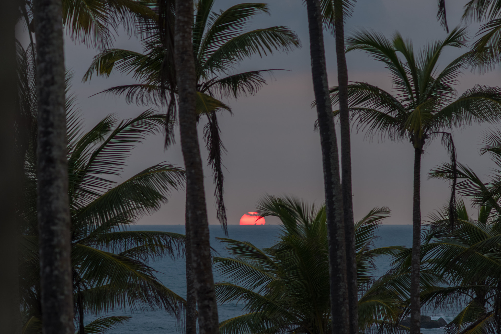 Pentax K-1 + smc PENTAX-FA 135mm F2.8 [IF] sample photo. Half of red sun photography