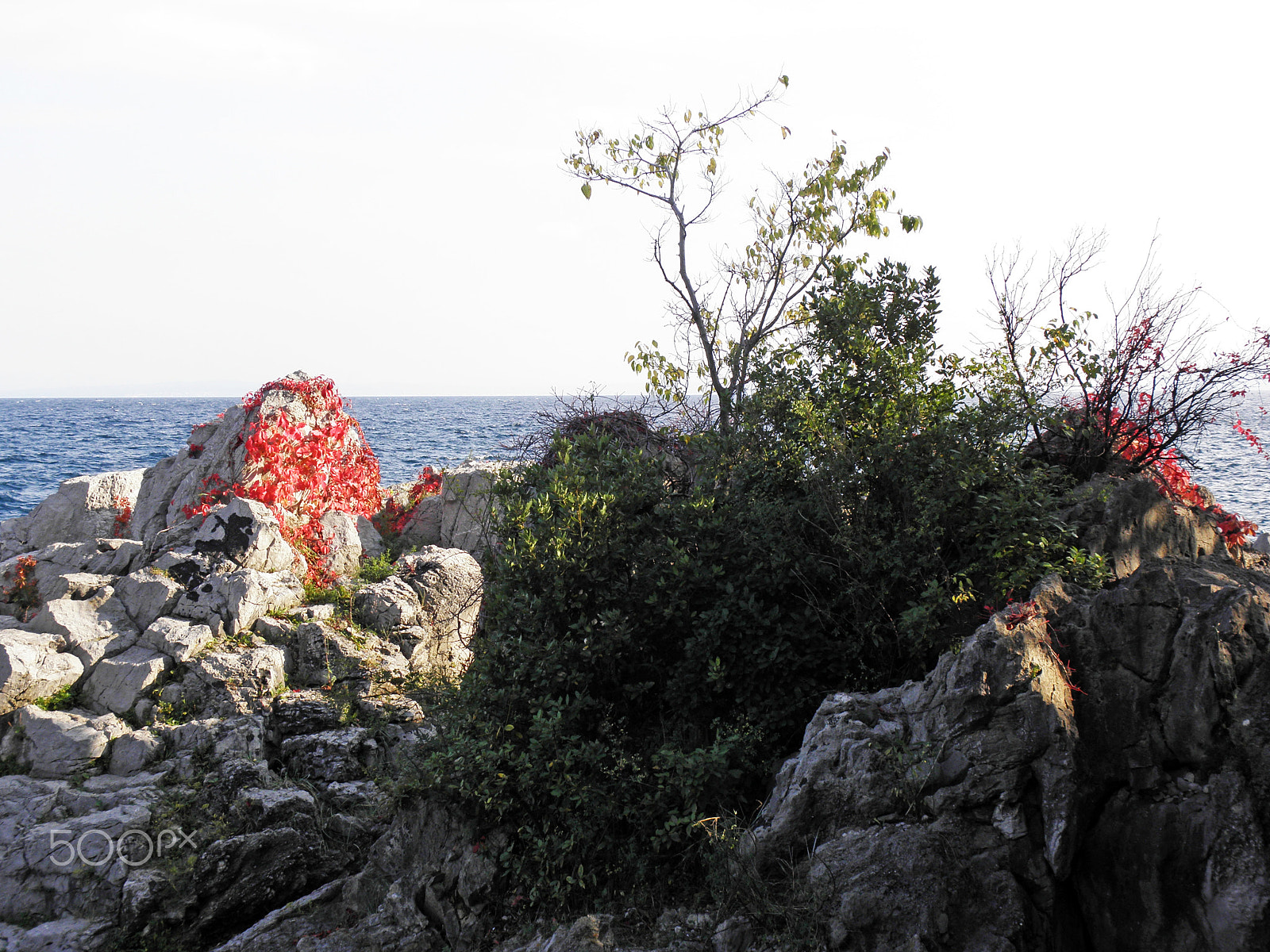 Olympus SP590UZ sample photo. Adriatic coast between opatija and lovran,croatia,17 photography