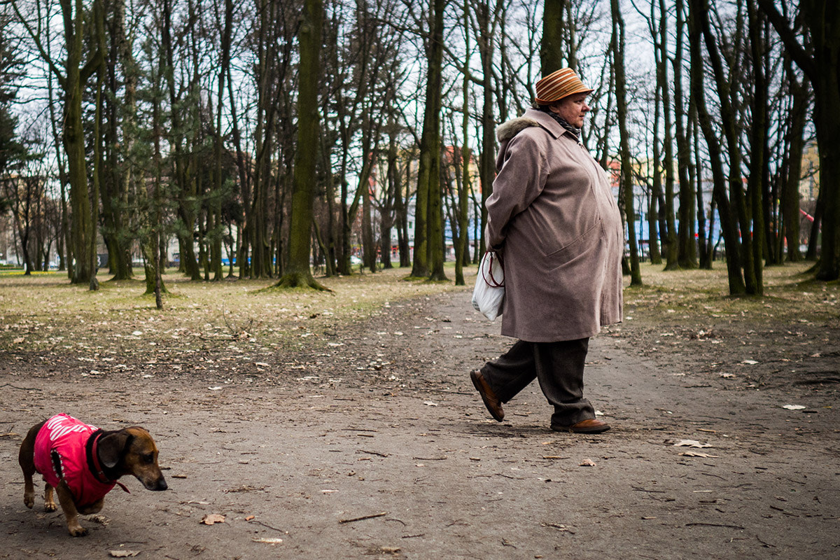 Olympus OM-D E-M10 II + Olympus M.Zuiko Digital 17mm F1.8 sample photo. People and dogs photography