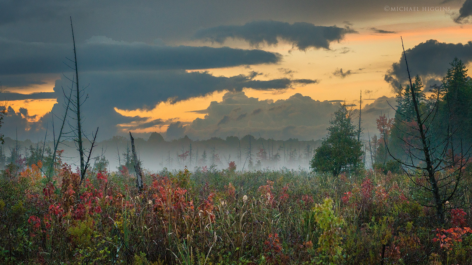 Nikon AF-S Nikkor 24-70mm F2.8G ED sample photo. Autumn bog photography
