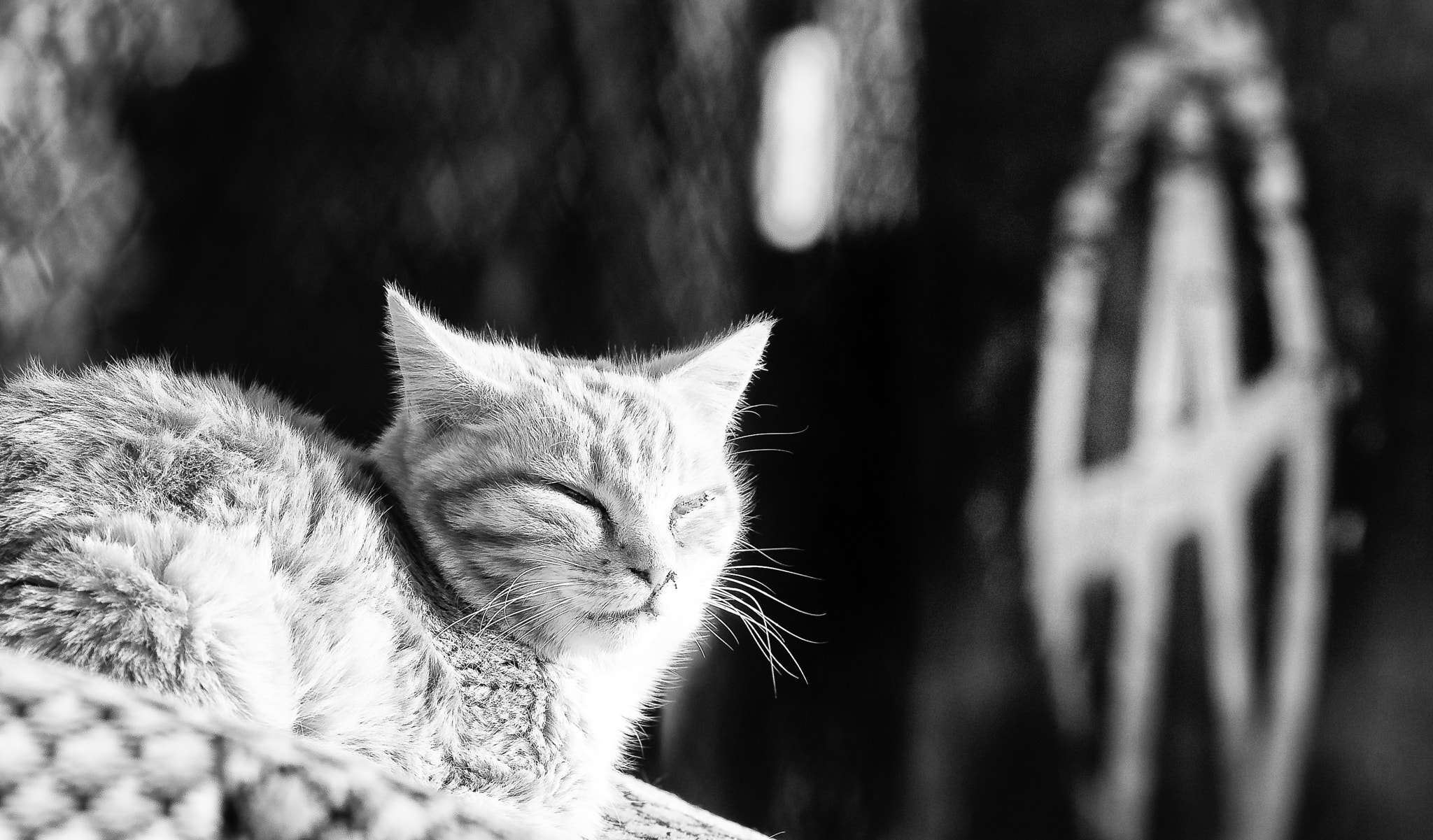 Nikon AF-Nikkor 80-200mm F2.8D ED sample photo. A-lone photography