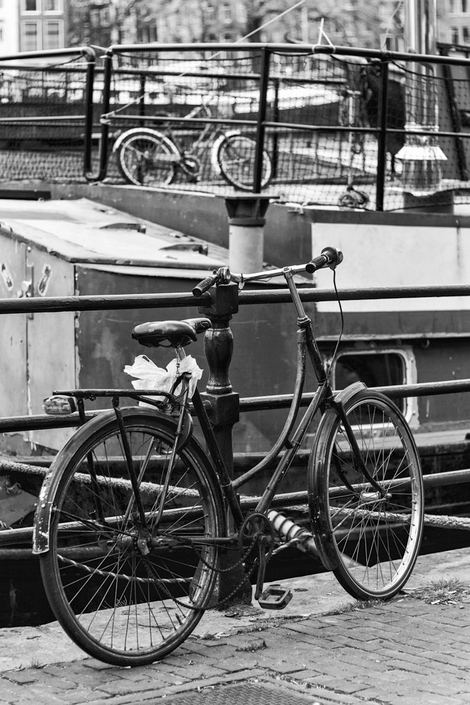 Canon EOS 550D (EOS Rebel T2i / EOS Kiss X4) + Canon EF 50mm F1.8 STM sample photo. Amsterdam photography
