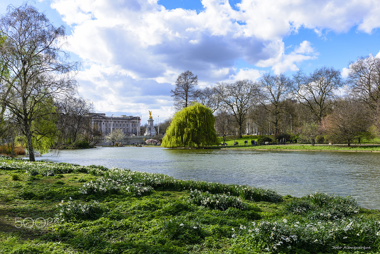 Nikon D600 sample photo. Early sprig in st. james park photography