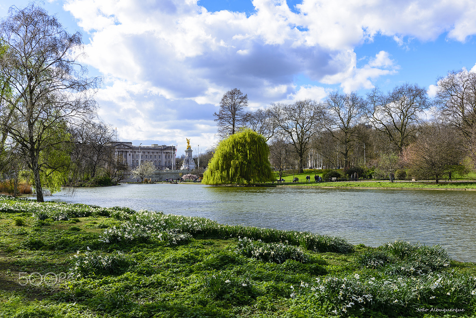 Nikon AF-S Nikkor 24-70mm F2.8G ED sample photo. Early sprig in st. james park photography