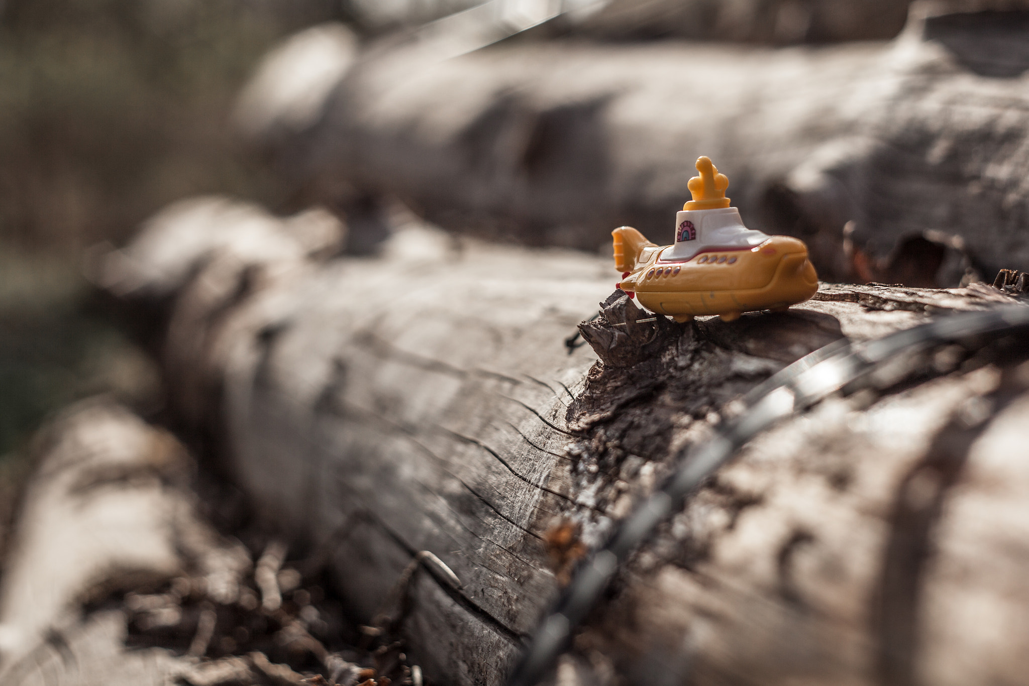 Canon EOS 5D Mark II + Canon EF 35-80mm f/4-5.6 sample photo. Yellow submarine 022 #project365 photography