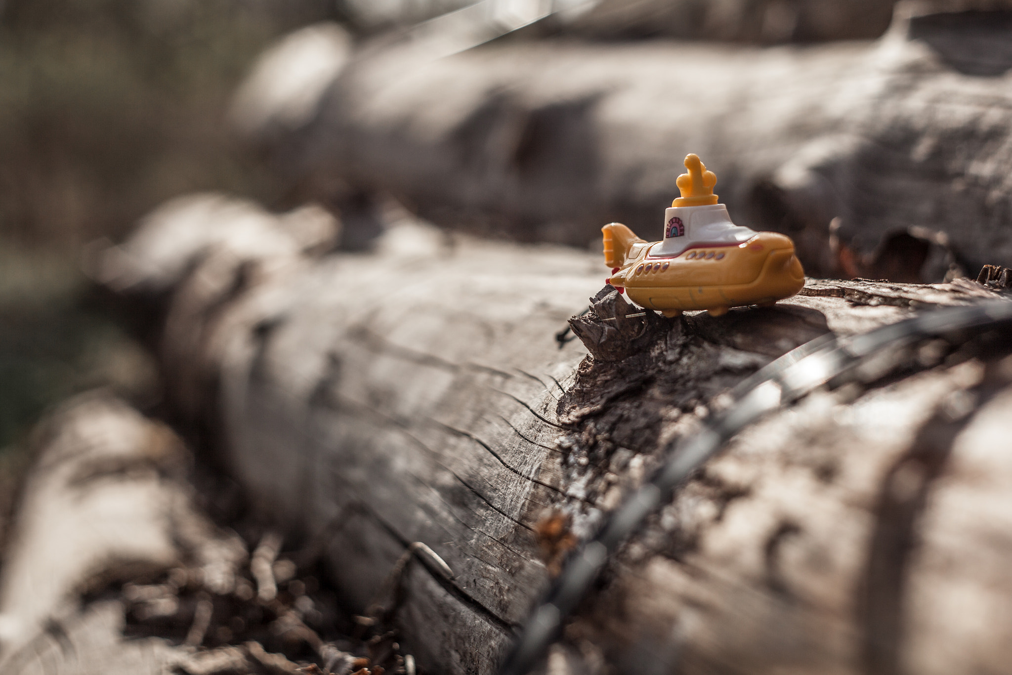 Canon EF 35-80mm f/4-5.6 sample photo. Yellow submarine 022 #project365 photography