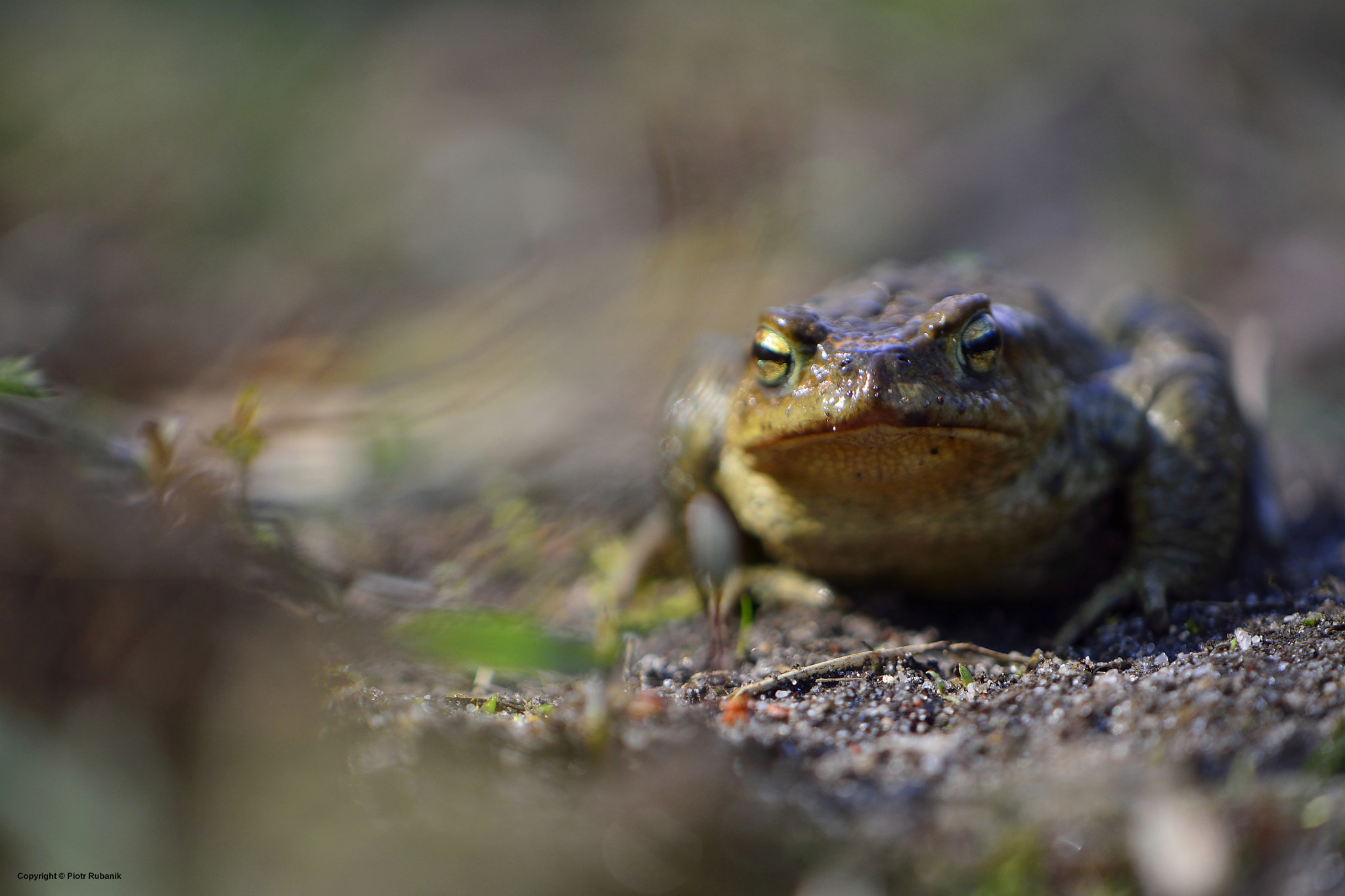 Nikon AF-S DX Micro-Nikkor 85mm F3.5G ED VR sample photo. An inspirational meeting ... photography
