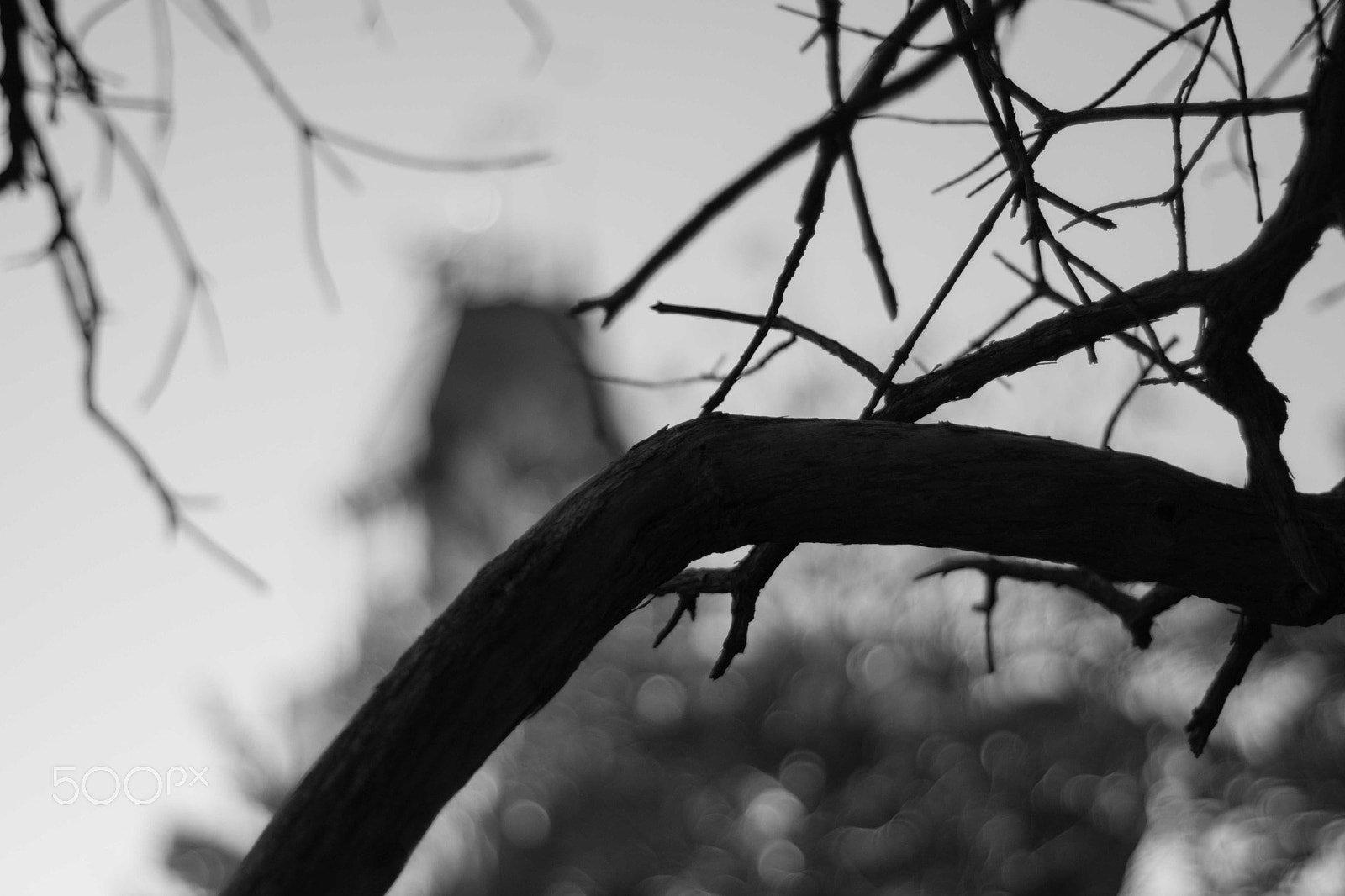 Nikon D3300 + Nikon AF Nikkor 50mm F1.8D sample photo. Zacatecas photography