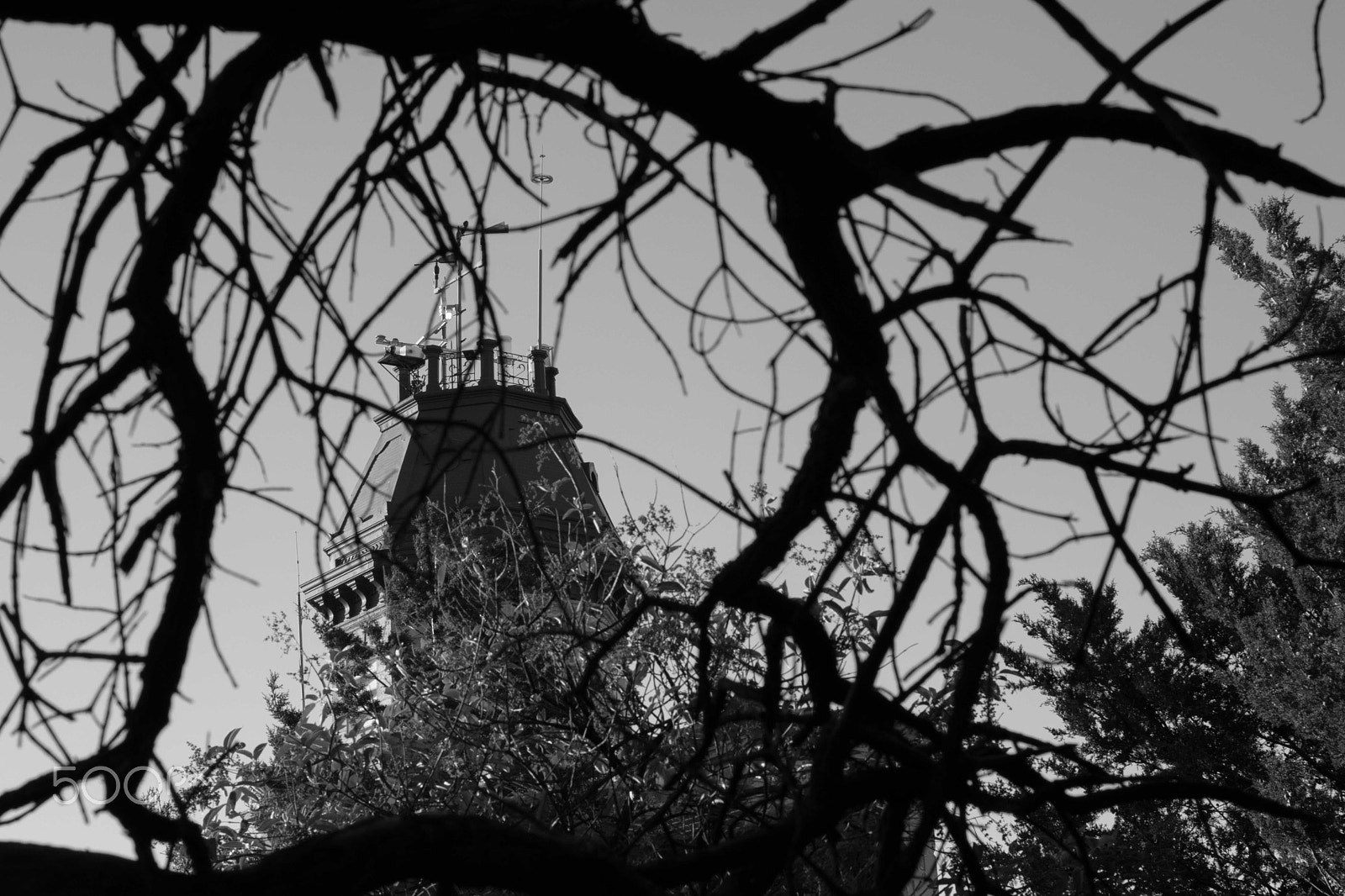 Nikon D3300 + Nikon AF Nikkor 50mm F1.8D sample photo. Zacatecas photography