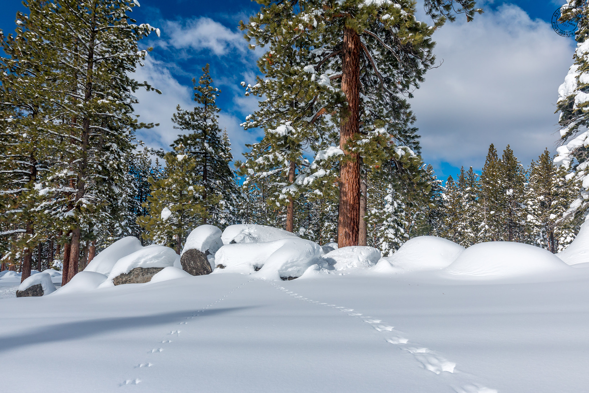 Canon EF 16-35mm F4L IS USM sample photo. The chase photography