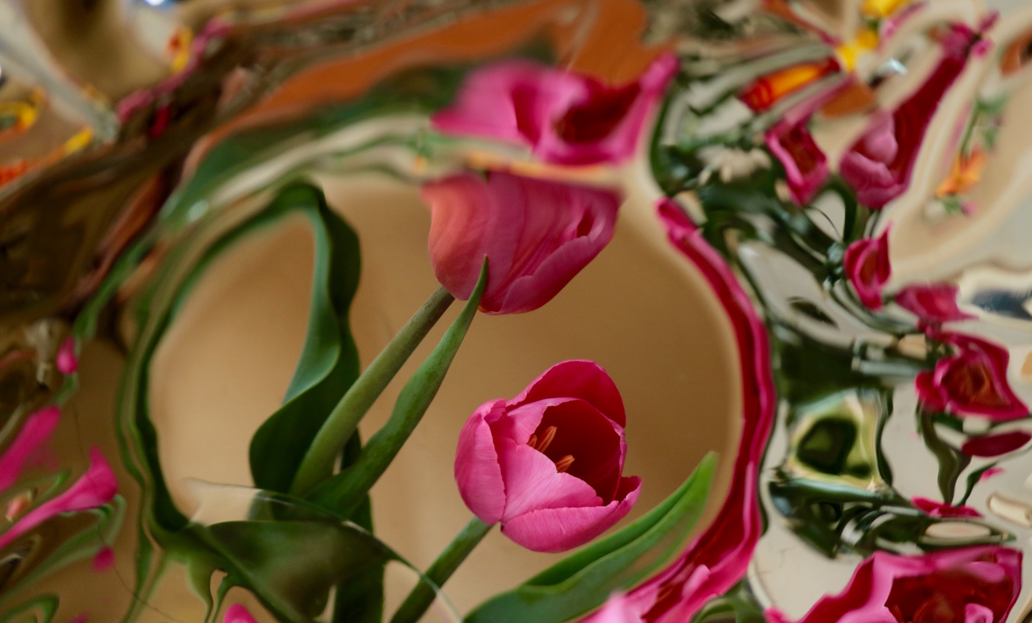 Canon EF-S 55-250mm F4-5.6 IS STM sample photo. Pink tulip in the mirror photography