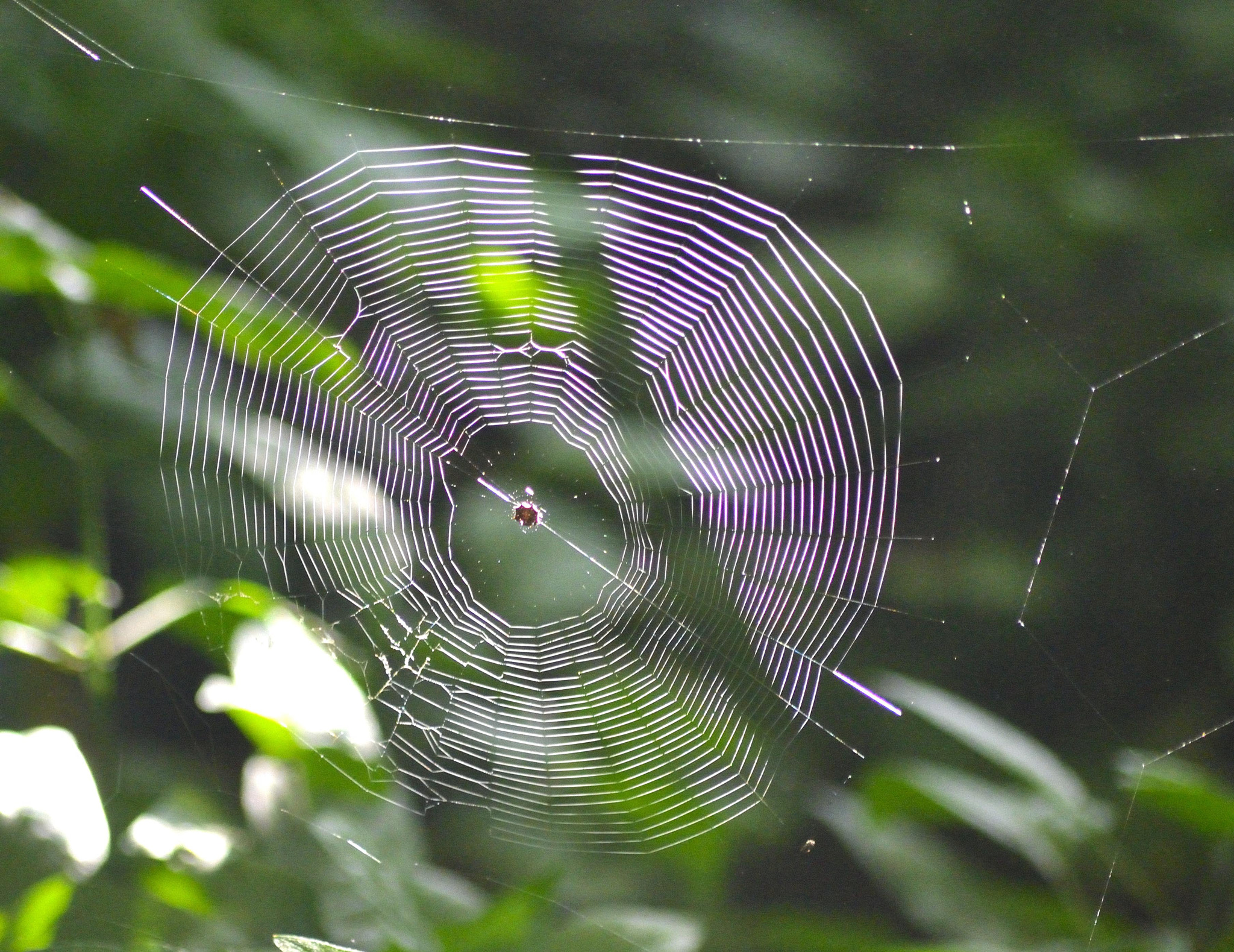 Nikon D3100 + Sigma 70-300mm F4-5.6 APO DG Macro sample photo. Amanzimtoti bird park photography