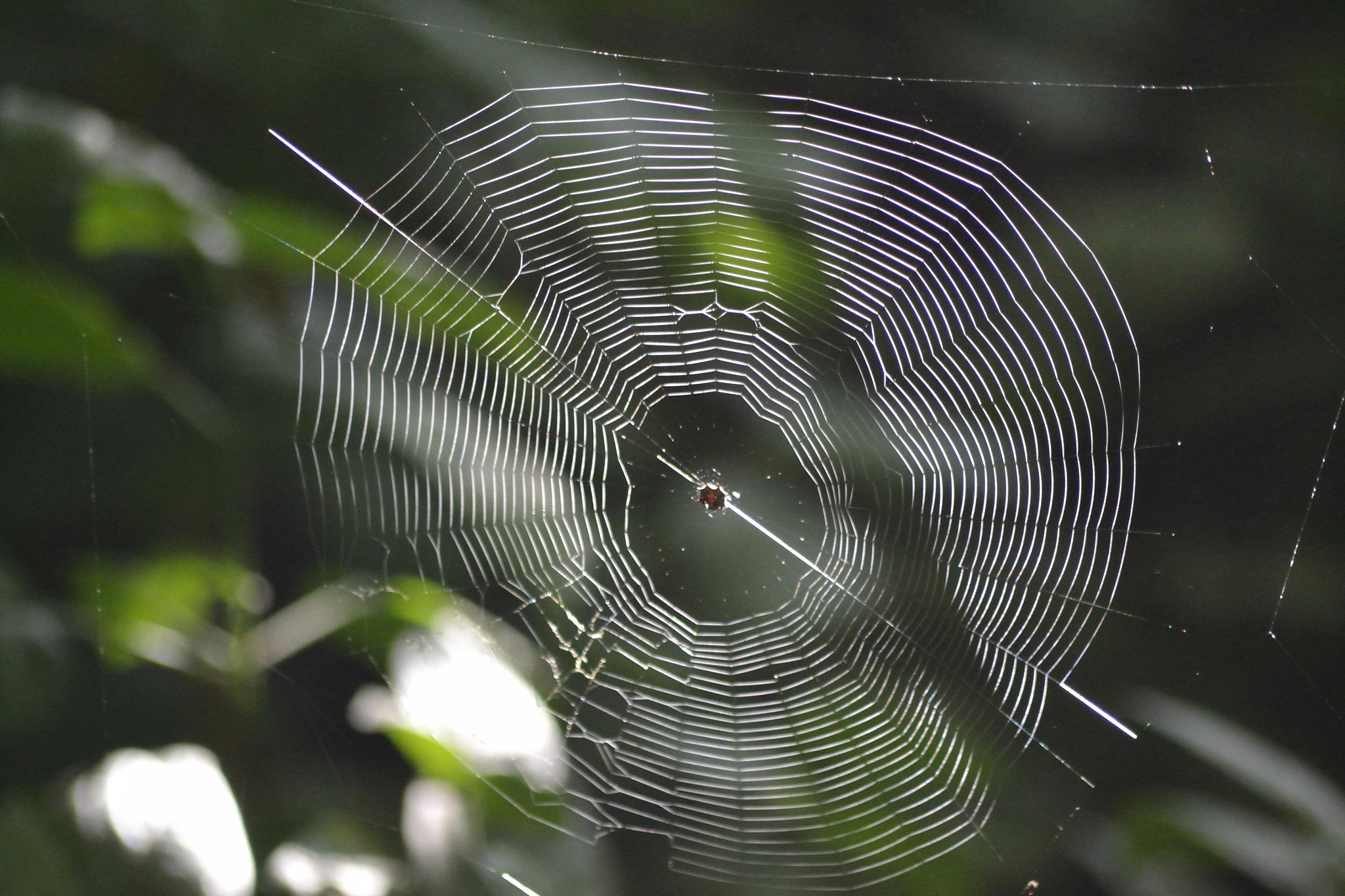 Sigma 70-300mm F4-5.6 APO DG Macro sample photo. Amanzimtoti bird park photography