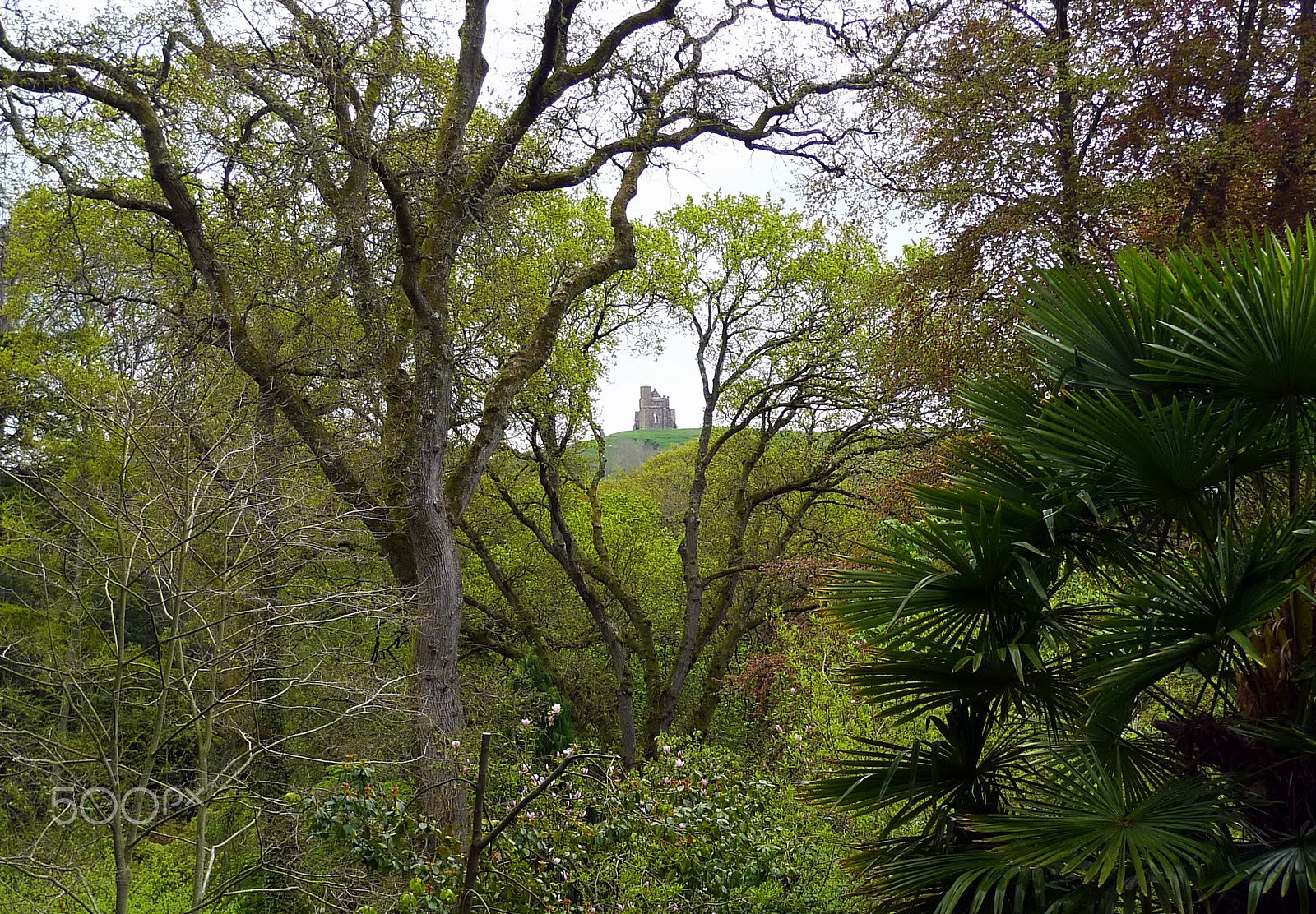 Leica D-LUX 4 sample photo. Cathedral on the hill - dorset england photography