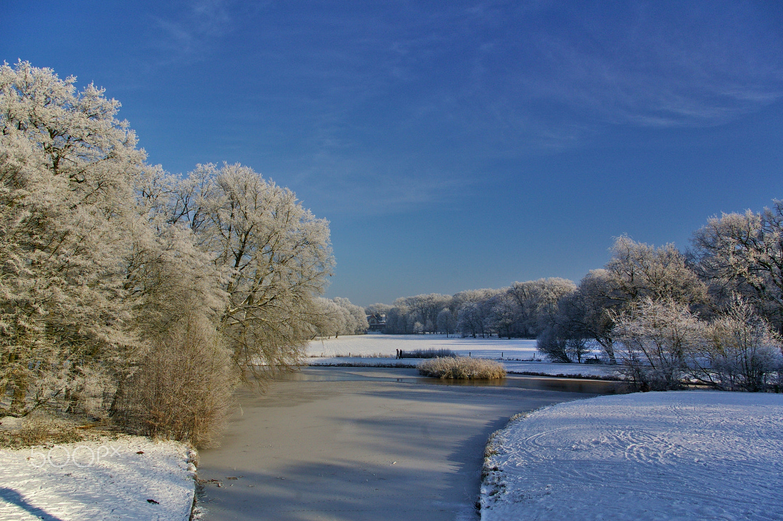 Pentax K100D sample photo. Frozen river with snow-covered trees photography