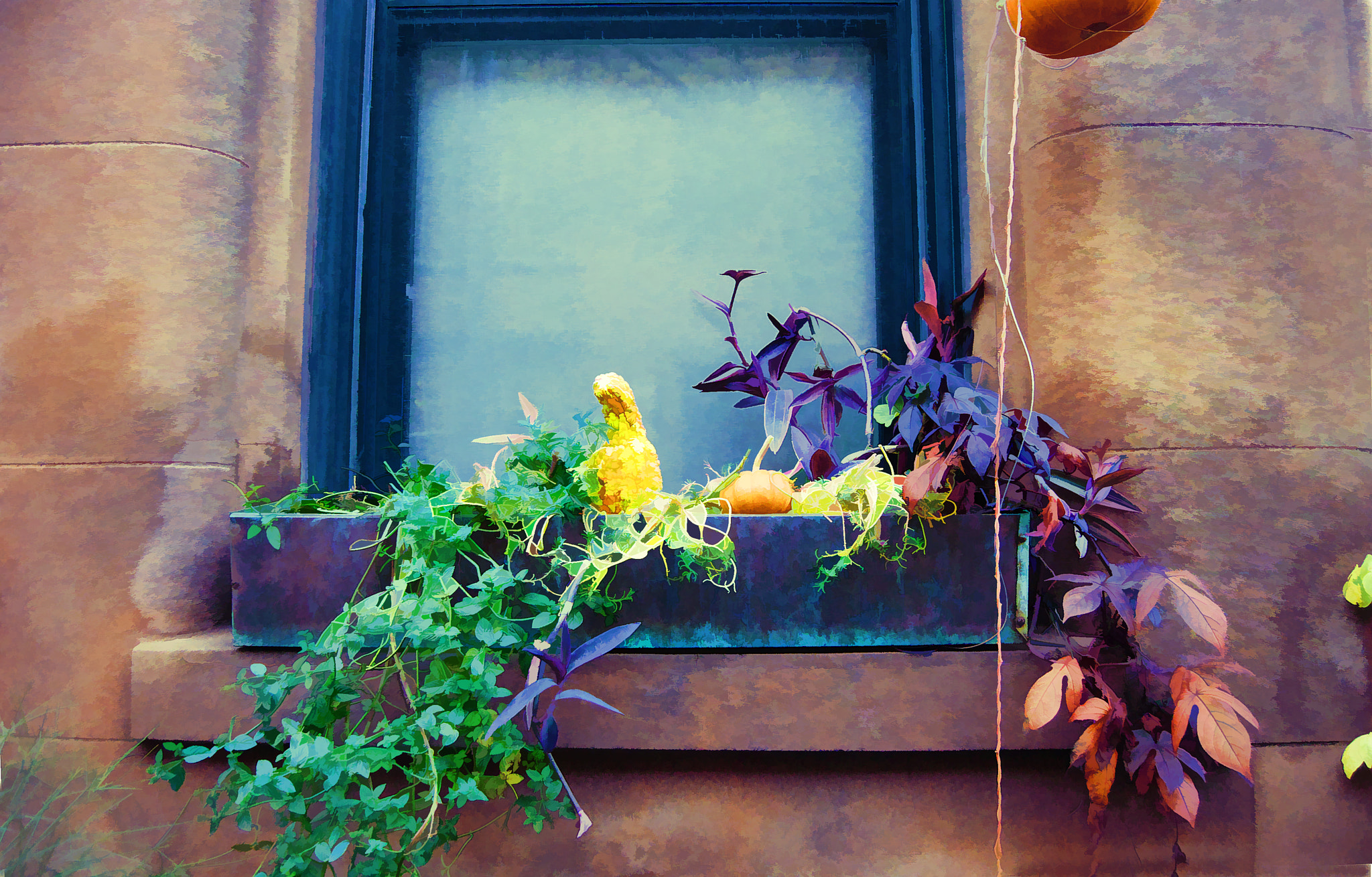 Nikon D40X sample photo. Painted window box photography