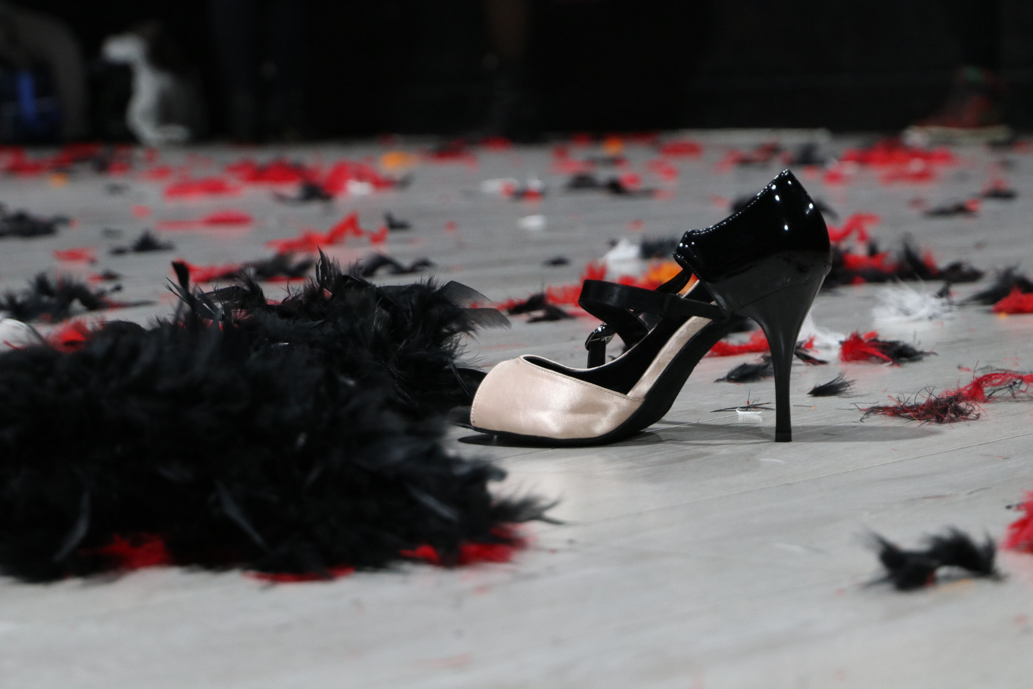 Canon EF 24-105mm F3.5-5.6 IS STM sample photo. F'heels photography