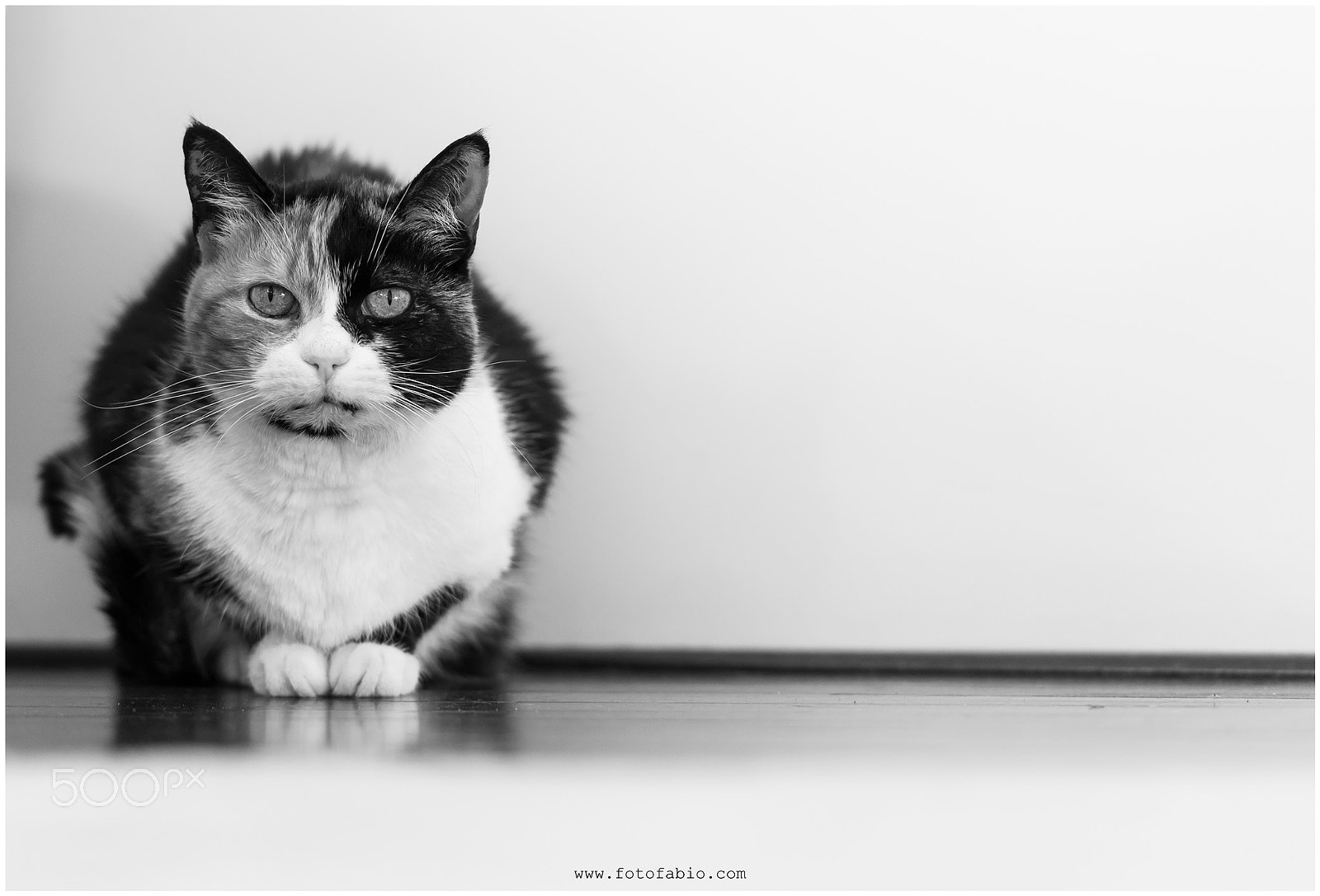 Nikon AF-S Nikkor 70-200mm F2.8G ED VR II sample photo. 16 years of life photography