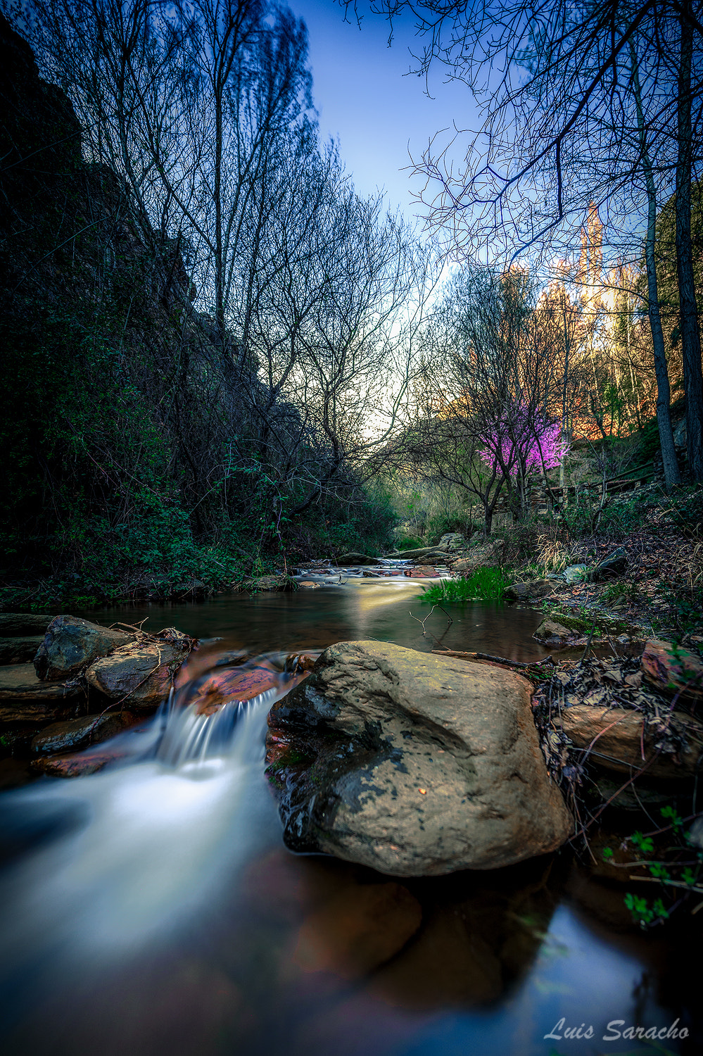 Nikon AF-S Nikkor 14-24mm F2.8G ED sample photo. Fuente agria photography