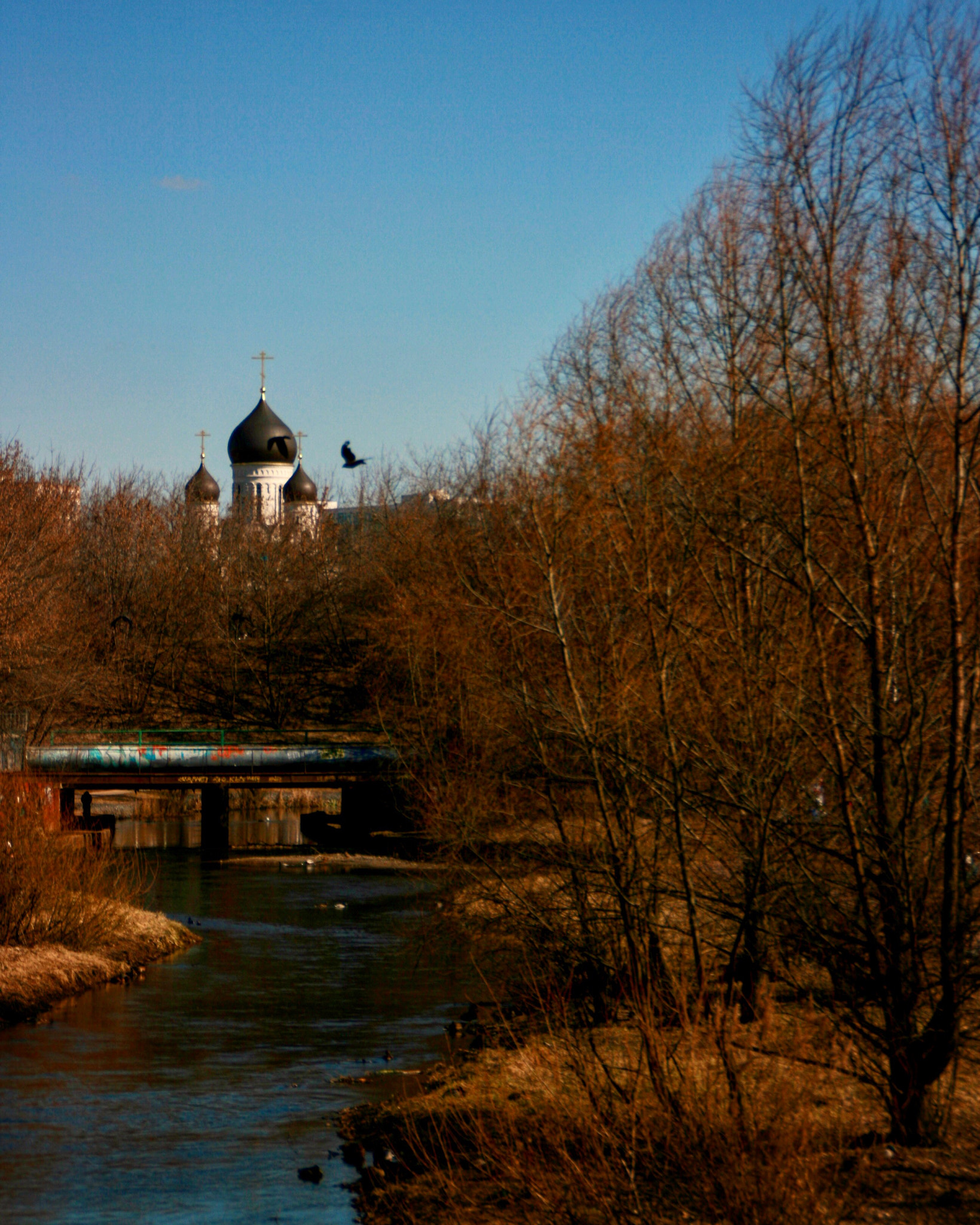 Canon EOS 400D (EOS Digital Rebel XTi / EOS Kiss Digital X) sample photo. Moscow march photography