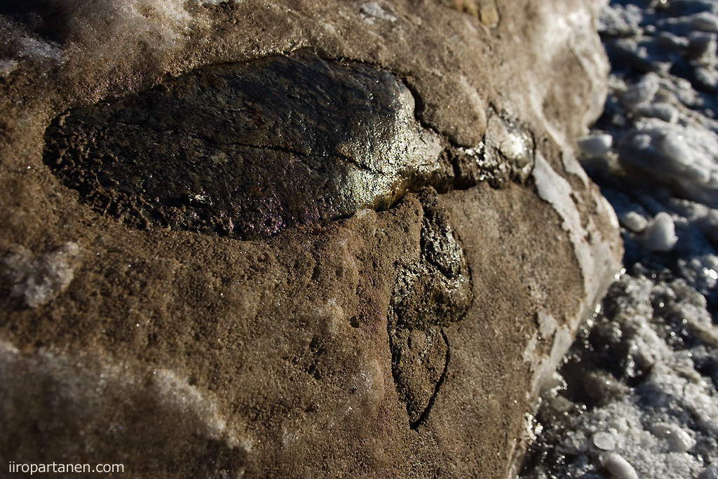 Sigma 18-35mm F1.8 DC HSM Art sample photo. Stone turtle photography