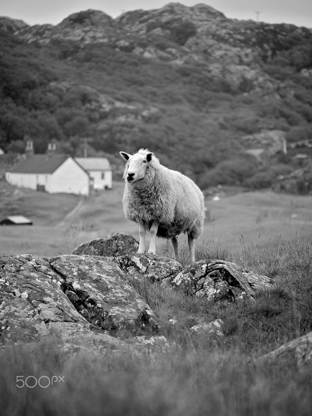 Panasonic Lumix G Vario 45-200mm F4-5.6 OIS sample photo. Scotland - west coast photography