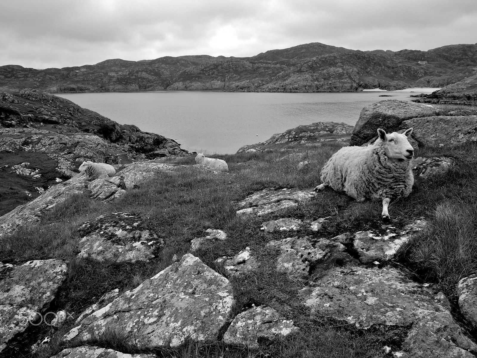 Panasonic Lumix DMC-GF3 + Panasonic Lumix G 14mm F2.5 ASPH sample photo. Scotland - west coast photography