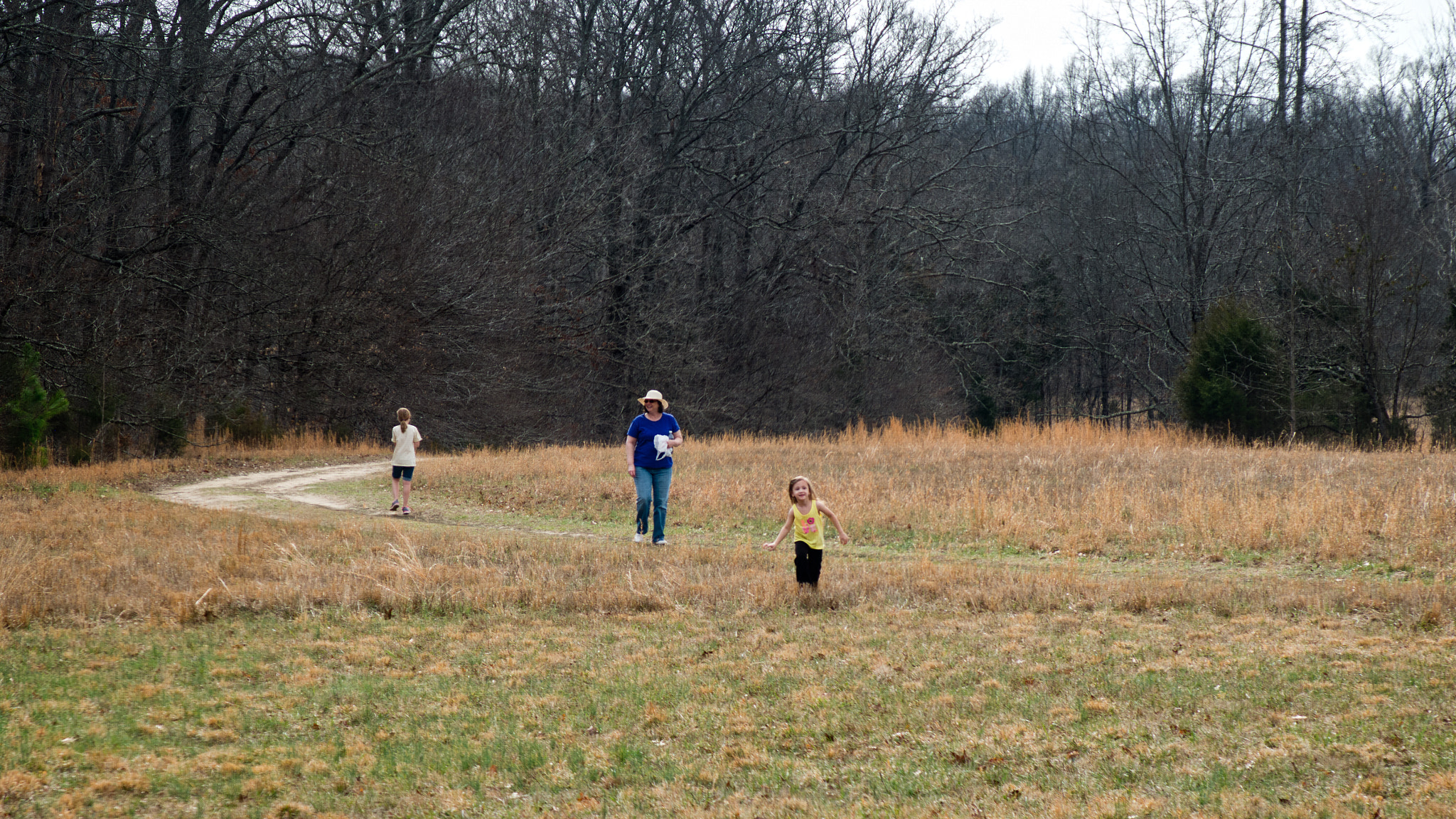 Fujifilm X-E1 sample photo. A walk in a field photography