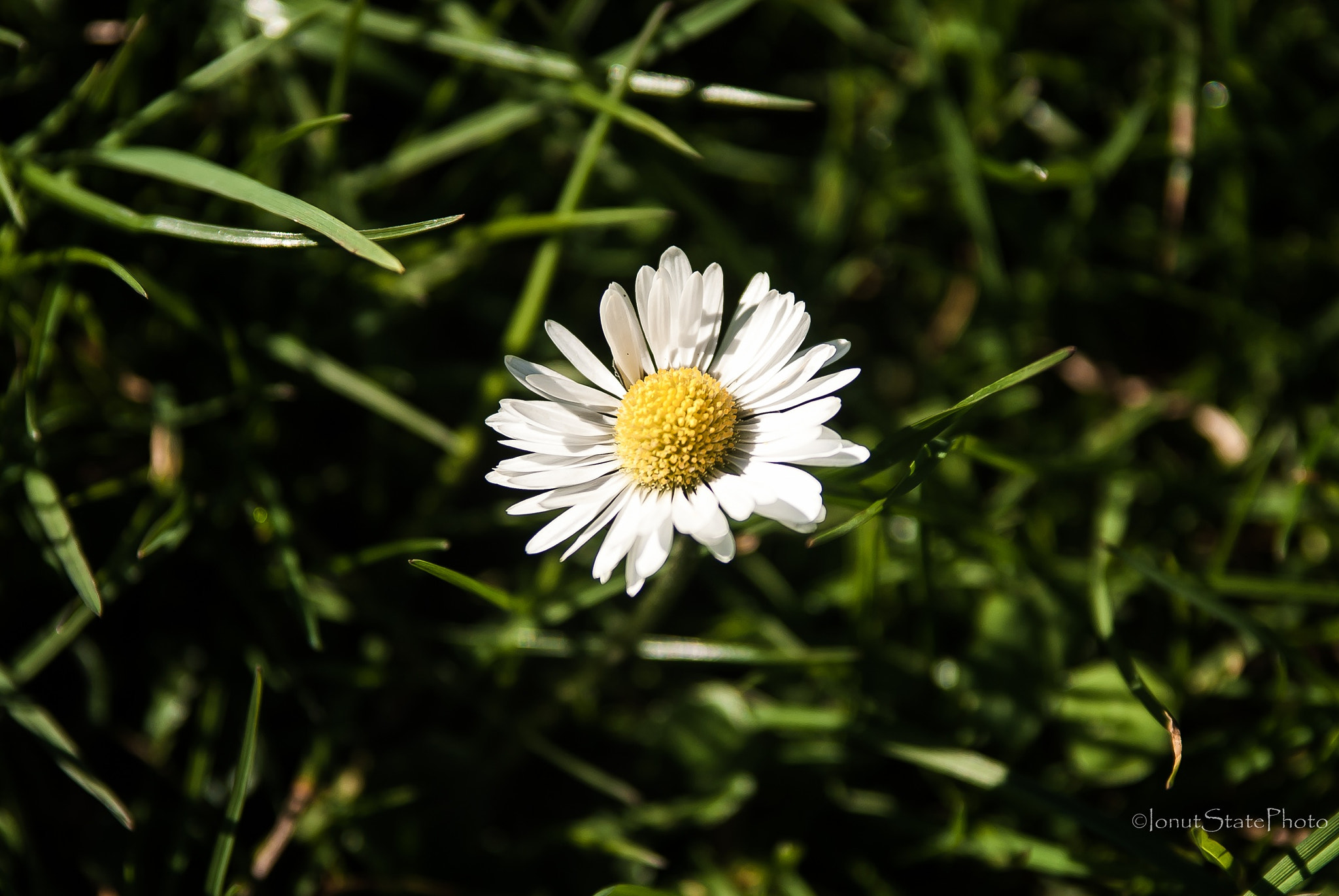 Sony Alpha DSLR-A200 sample photo. Earth hour photography