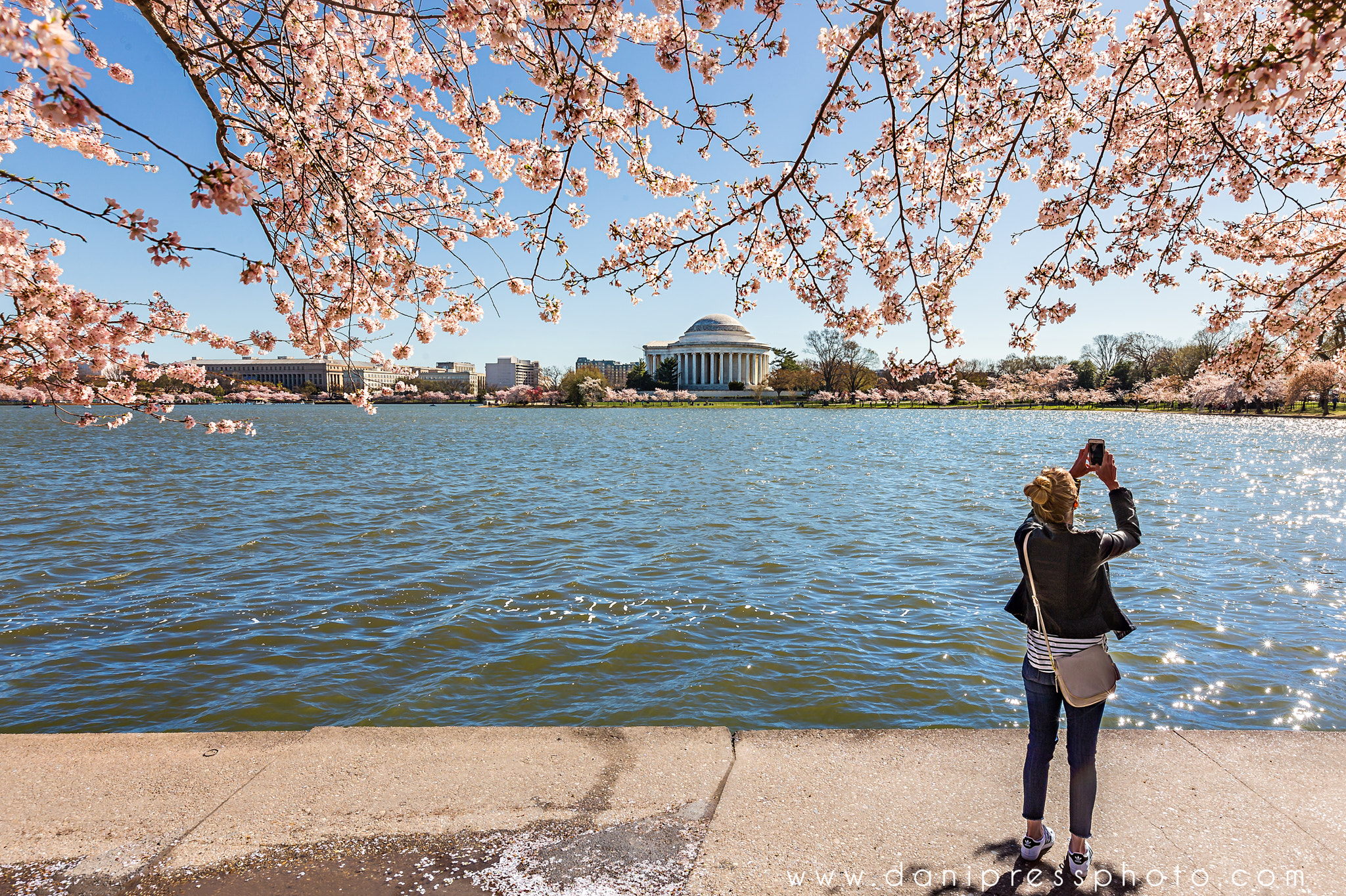 Canon EF 16-35mm F2.8L II USM sample photo. Tourists love our blossoms photography
