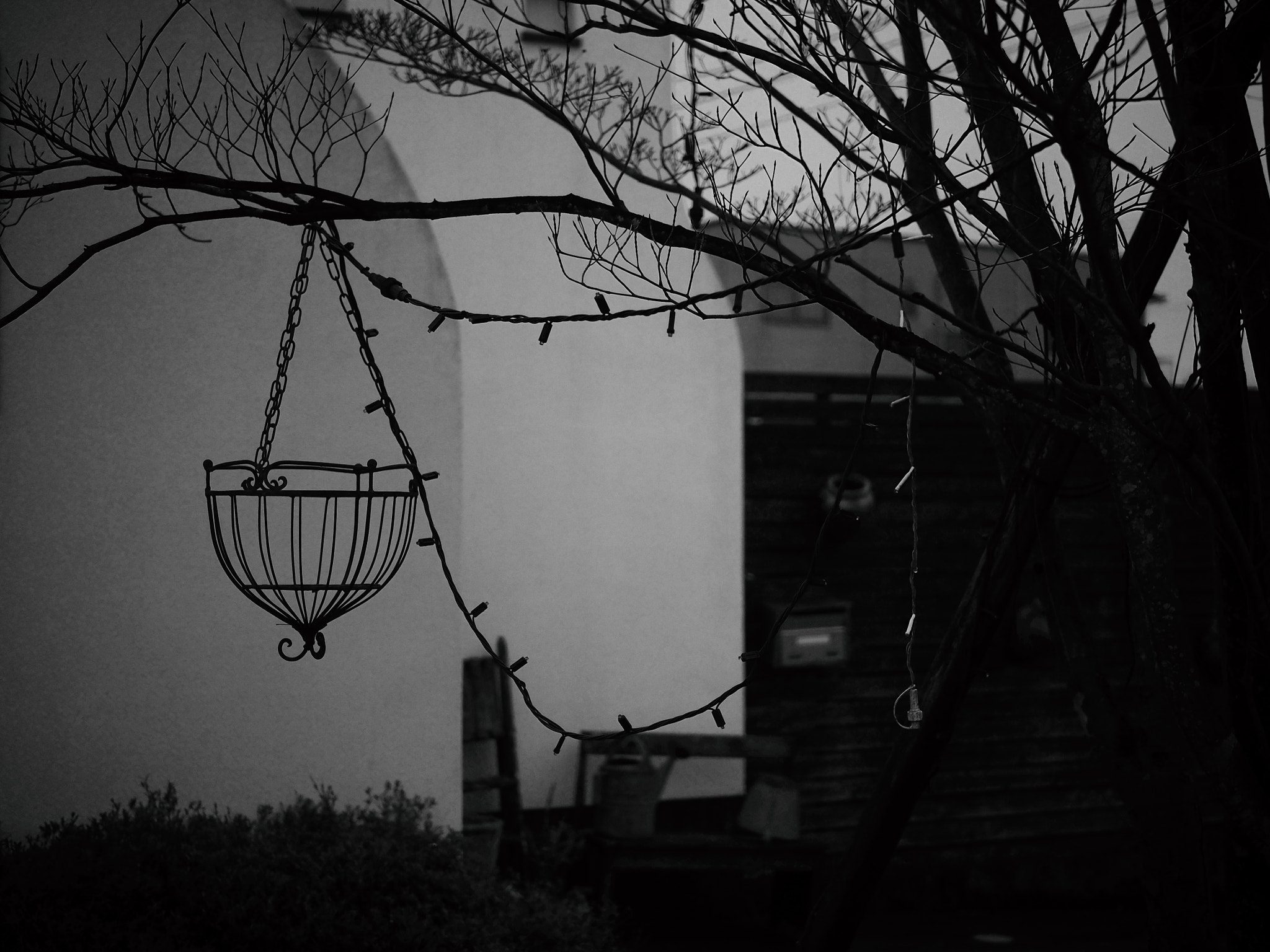 Olympus OM-D E-M10 + LUMIX G 25/F1.7 sample photo. Cloudy or rainy.... photography