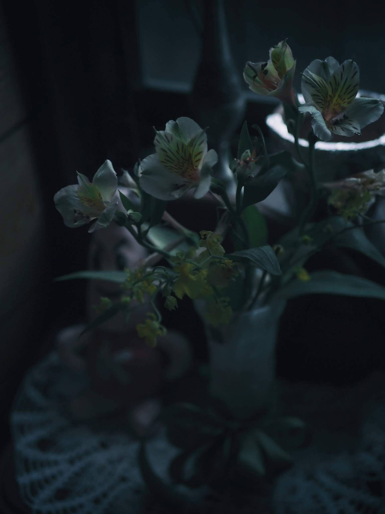 Olympus OM-D E-M10 + LUMIX G 25/F1.7 sample photo. Cloudy or rainy.... photography