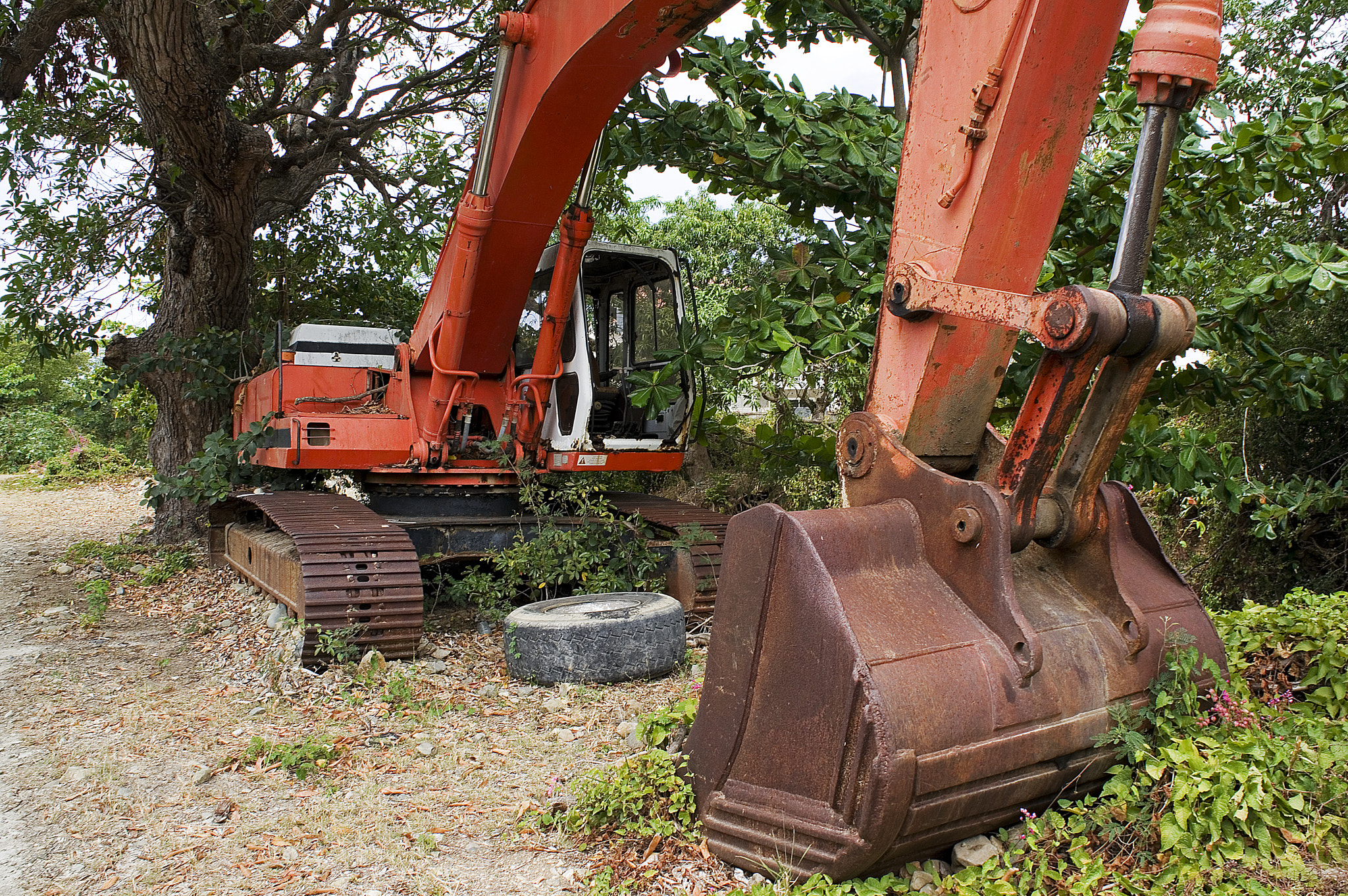 Sony Alpha NEX-5R + Sony E 18-55mm F3.5-5.6 OSS sample photo. Overgrown excavator photography