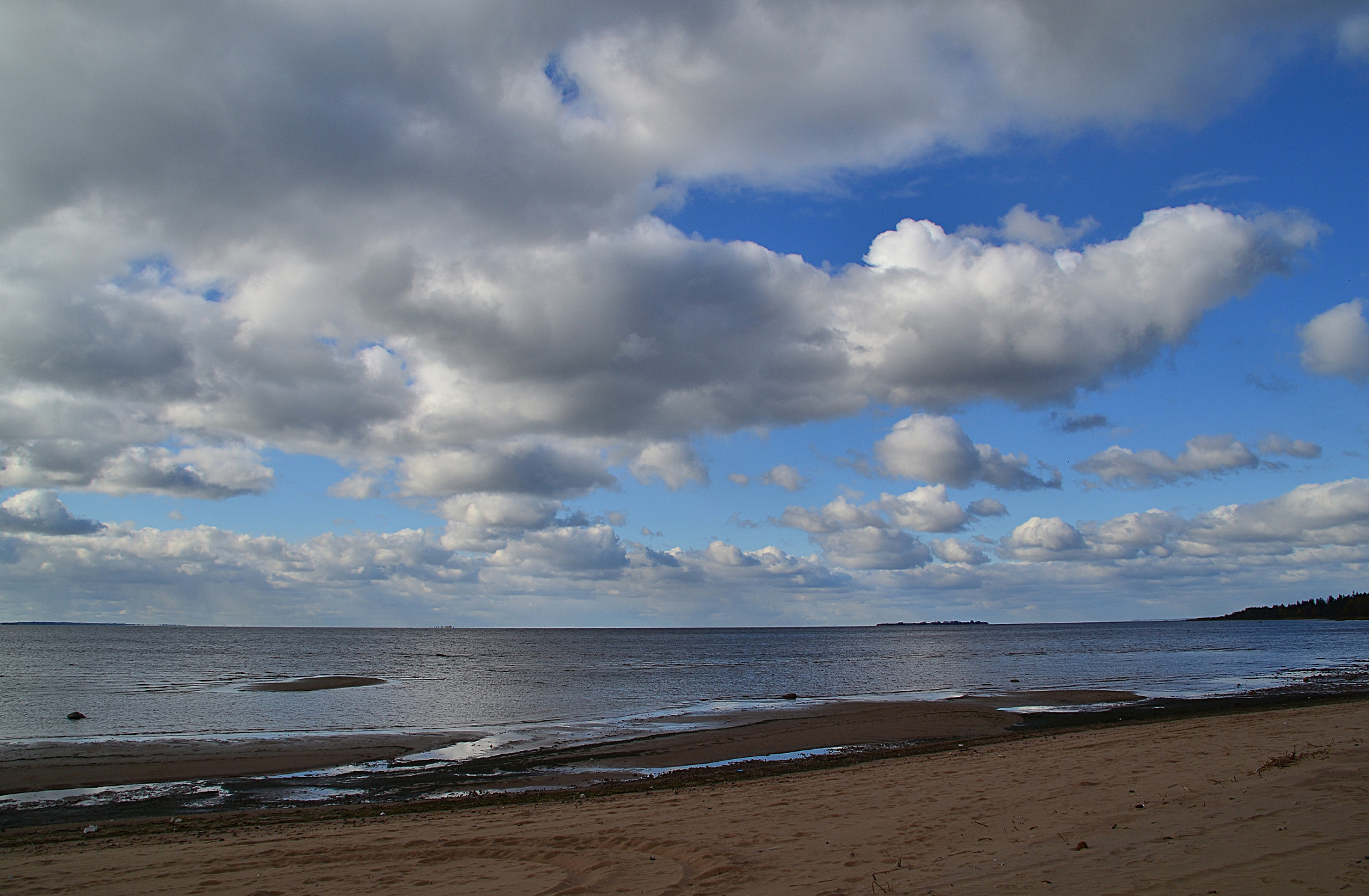 Nikon D3100 sample photo. Baltic seashore in tarkhovka photography