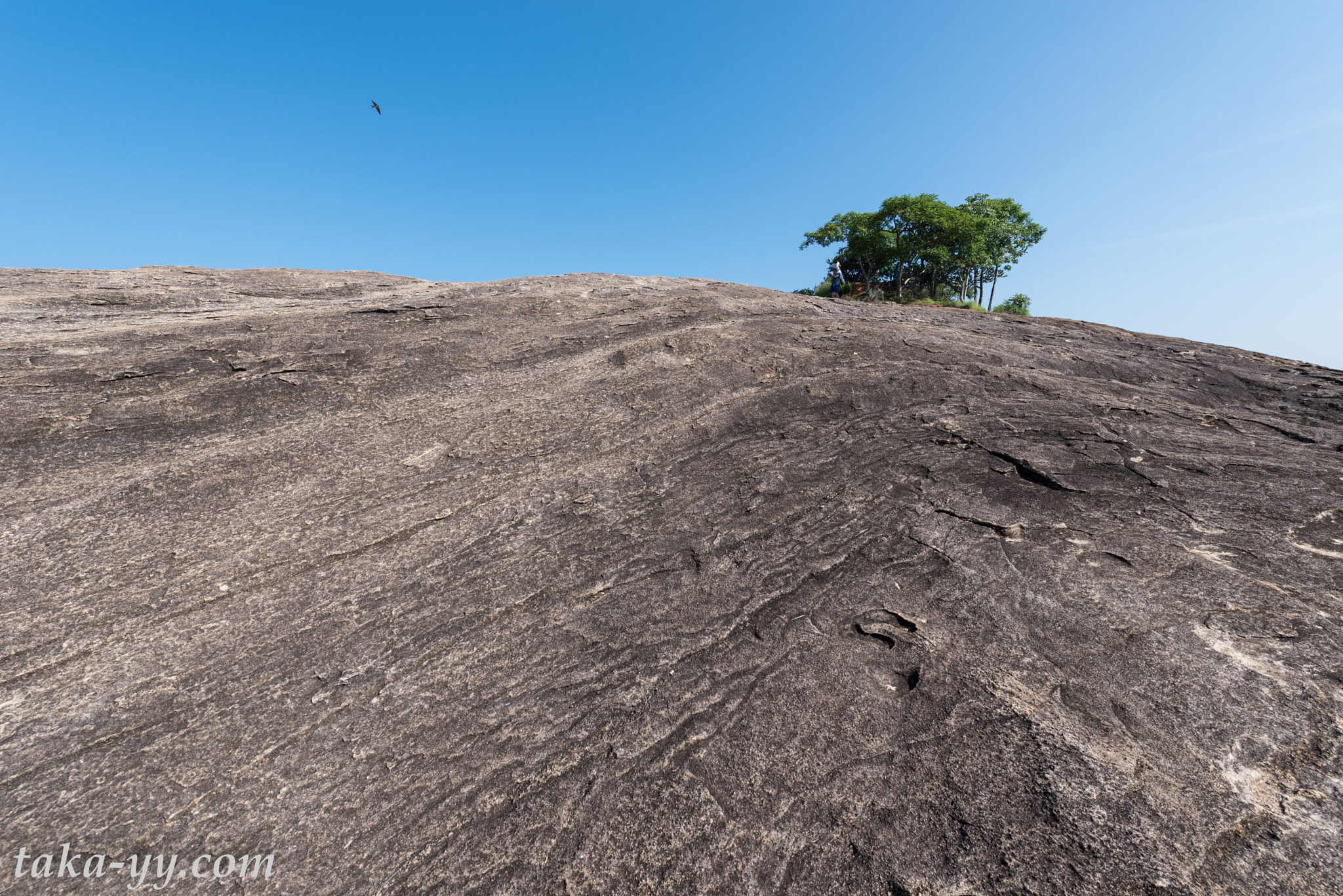 Nikon AF-S Nikkor 14-24mm F2.8G ED sample photo. Sigiria photography