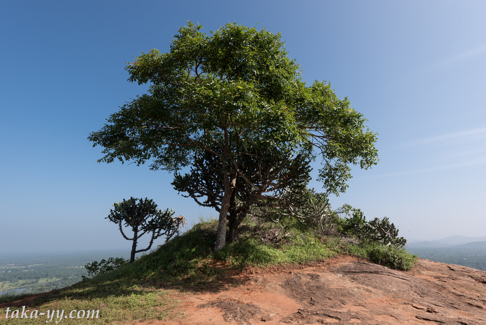 Nikon AF-S Nikkor 14-24mm F2.8G ED sample photo. Sigiria photography