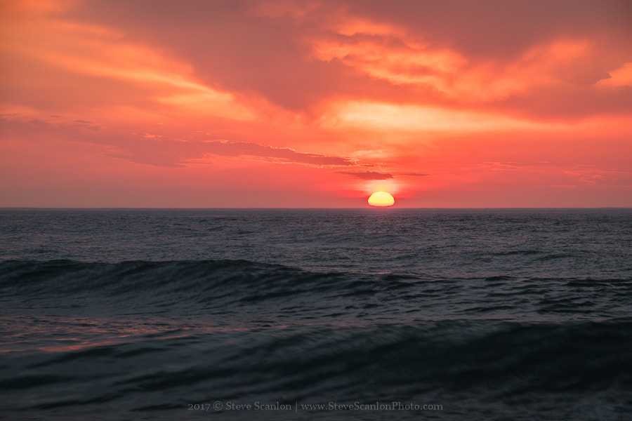 Nikon D5500 sample photo. Cherish every day photography