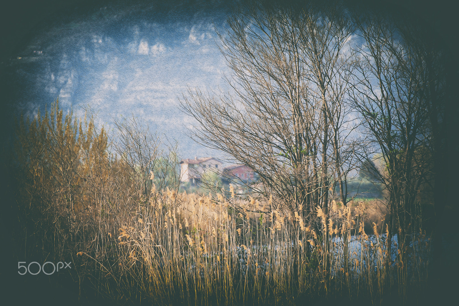 Canon EF 70-200mm F4L USM sample photo. Winter countryside photography