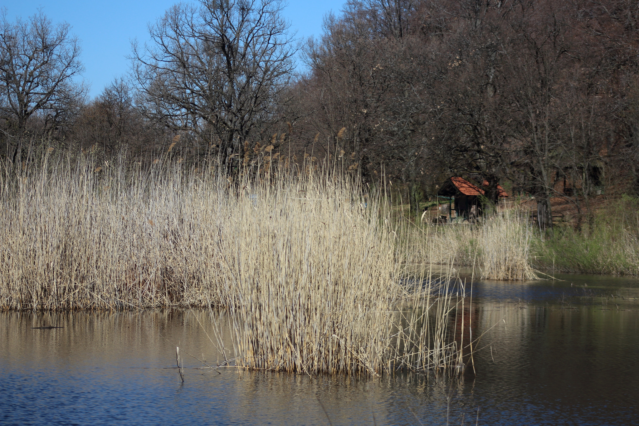 Canon EOS 700D (EOS Rebel T5i / EOS Kiss X7i) + EF75-300mm f/4-5.6 sample photo. Sovsko lake photography