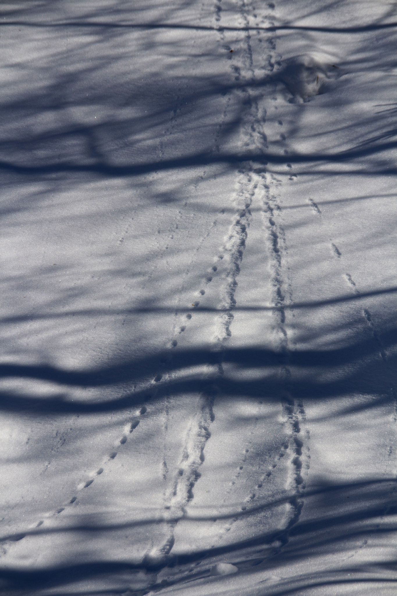 Sigma 18-200mm f/3.5-6.3 DC OS sample photo. Lignes (lines) photography